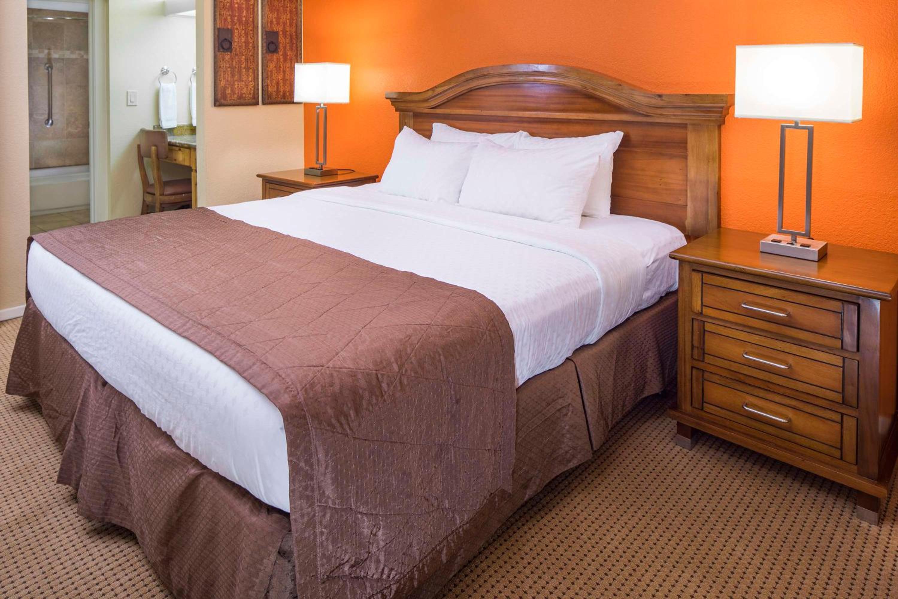 One-Bedroom King Suite with Roll-In Shower - Hearing Accessible