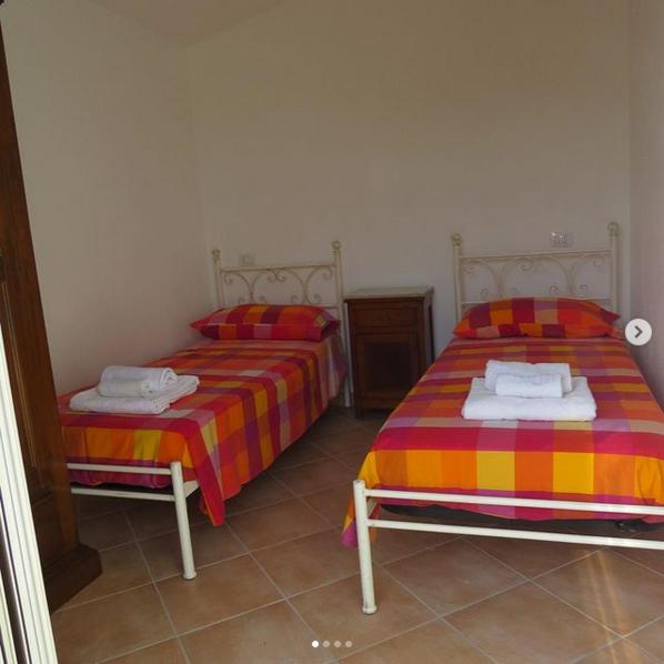 Twin Room photo 2