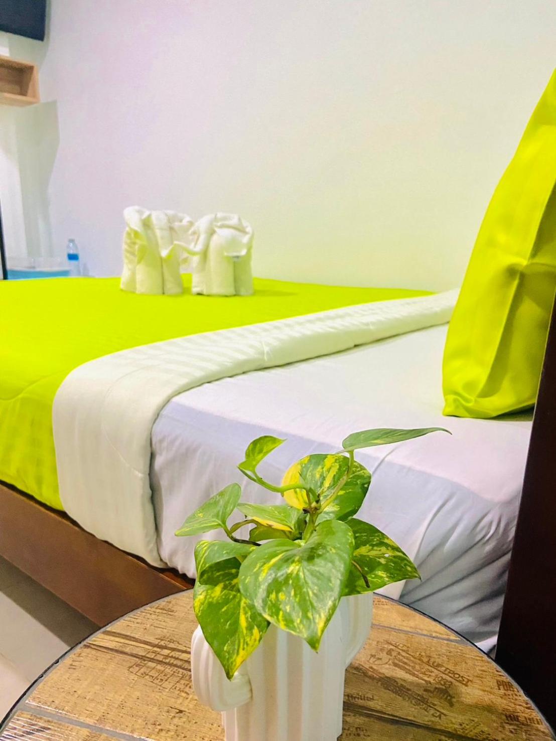 Budget Double Room with Air Con (No Hot Water)