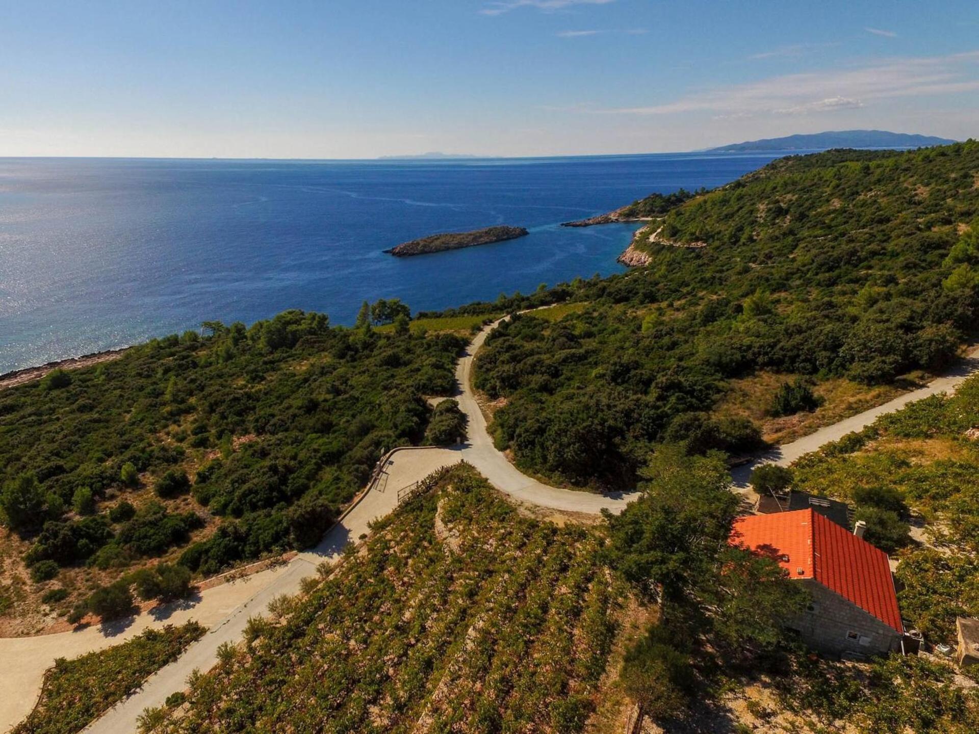 Vacation Home photo 2