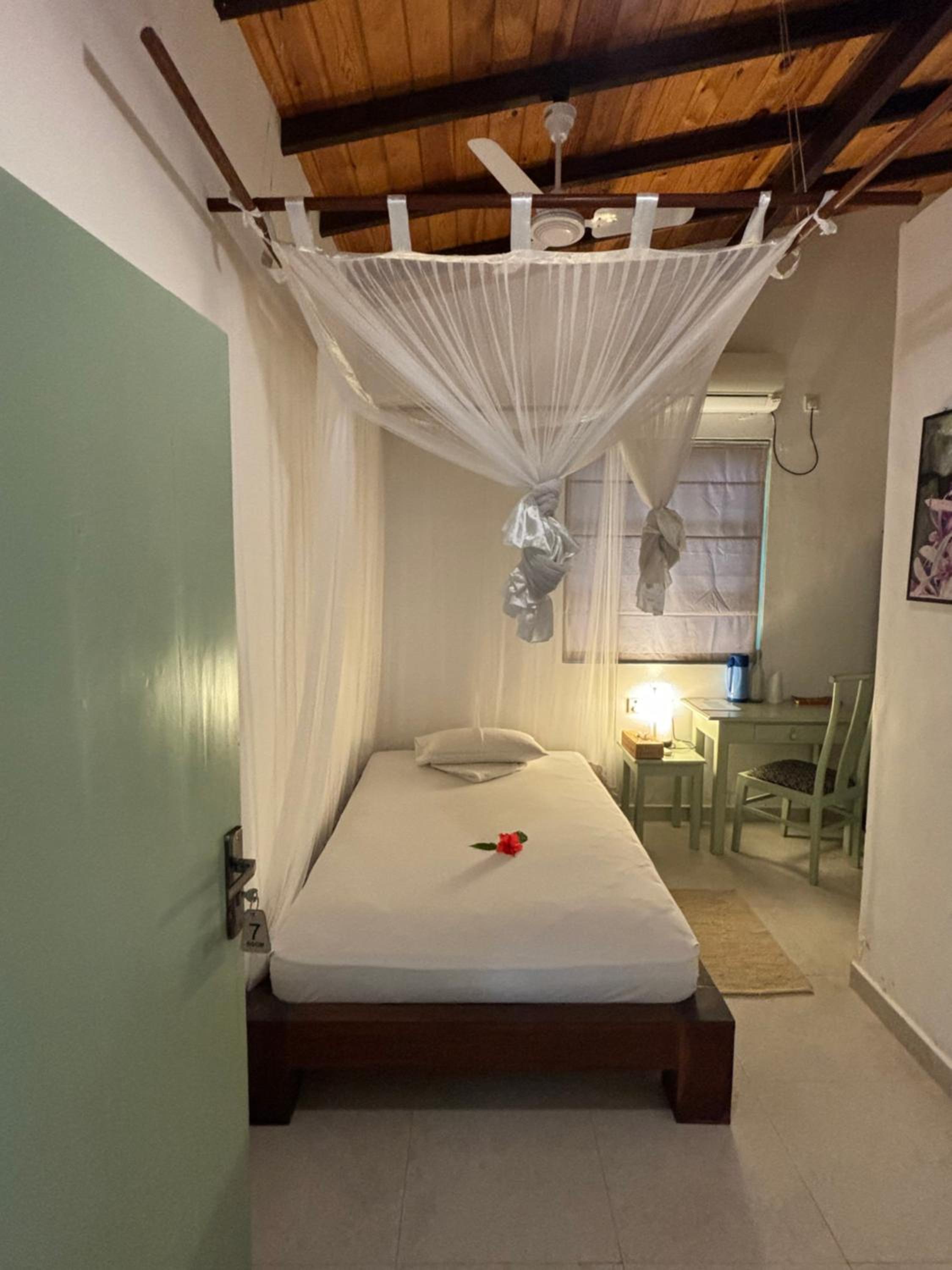 Single Room photo 1
