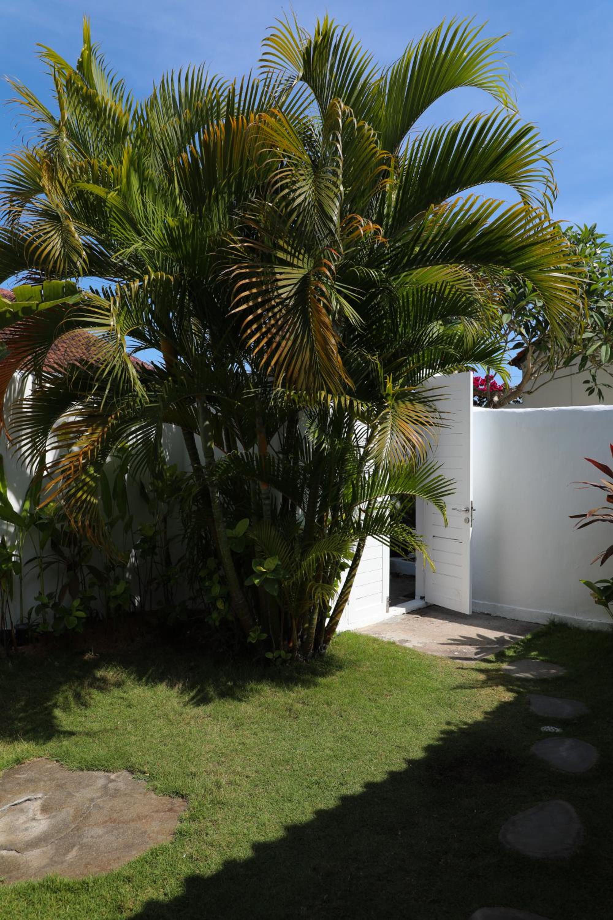Three-Bedroom Villa - Photo 6