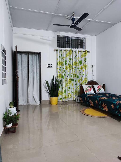 One-Bedroom House photo 3