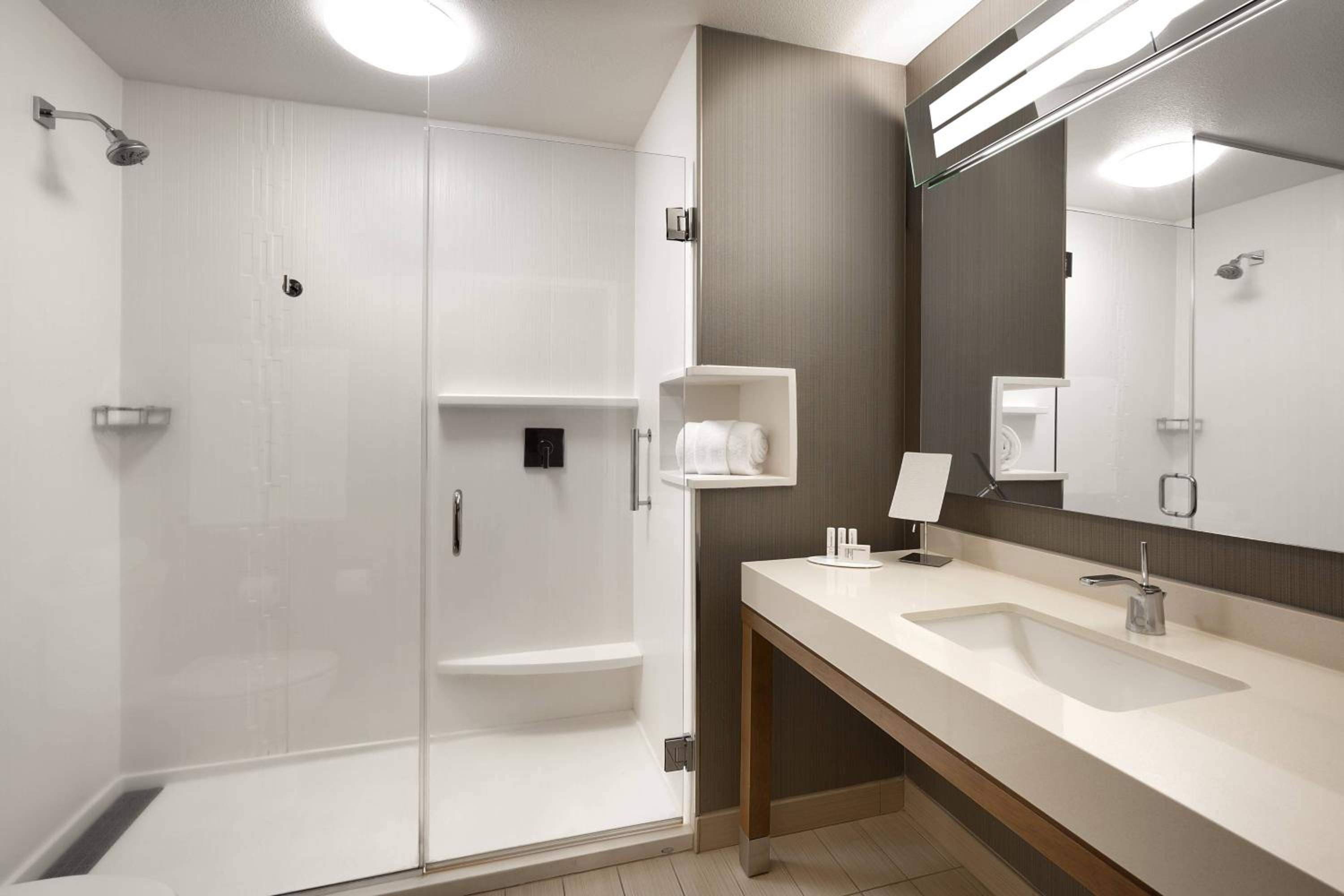One-Bedroom King Suite with Roll-In Shower, Bathtub and Sofa Bed - Mobility Access photo 2