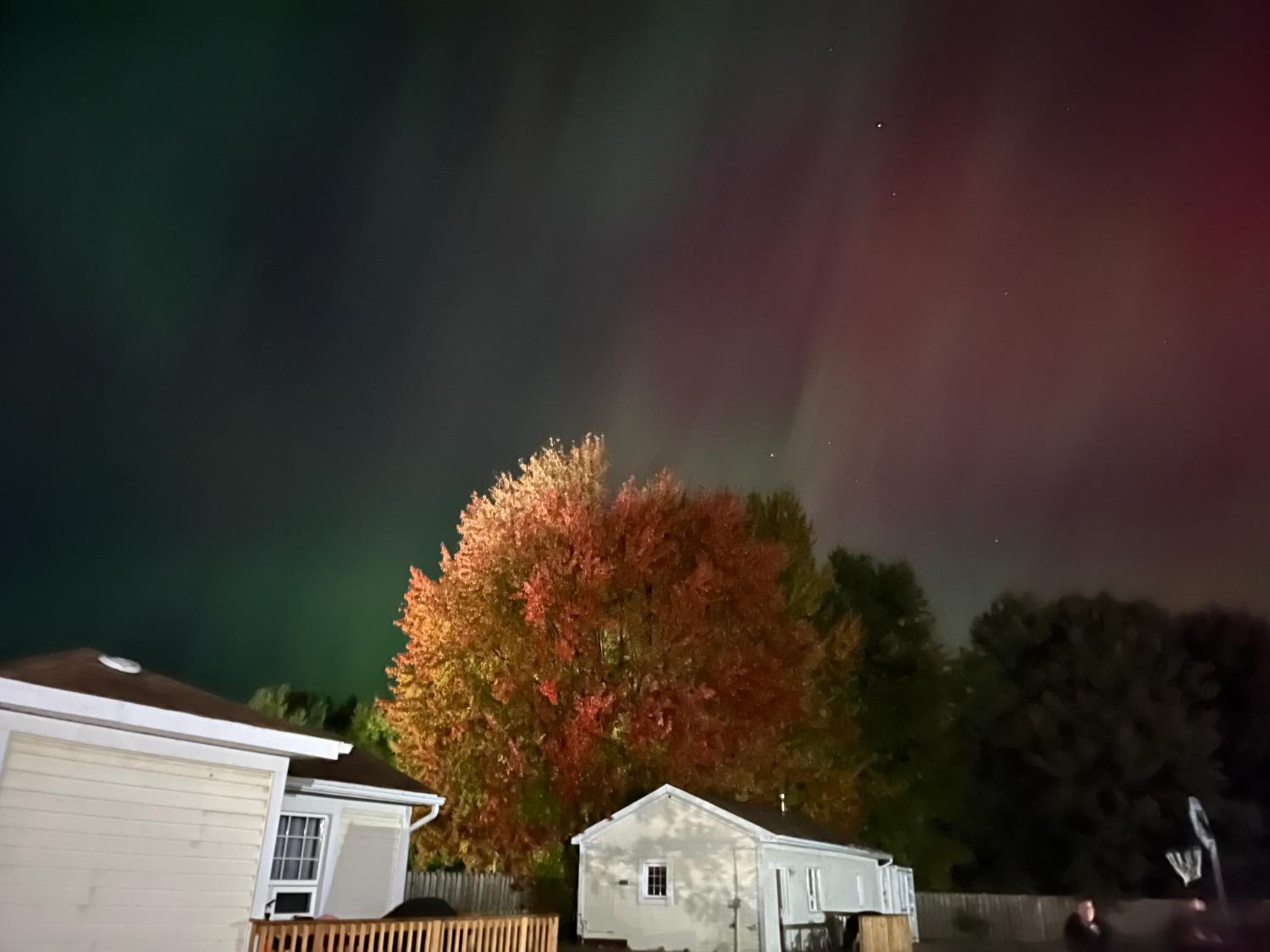Cottage - Photo 9