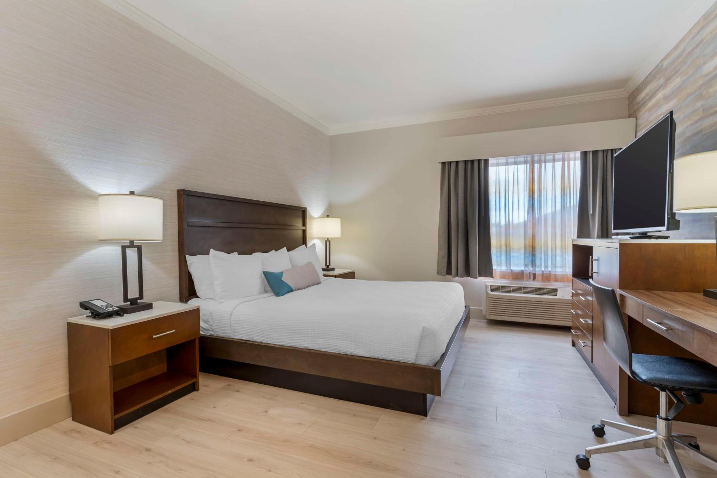 King Suite with Sofa Bed - Photo 1
