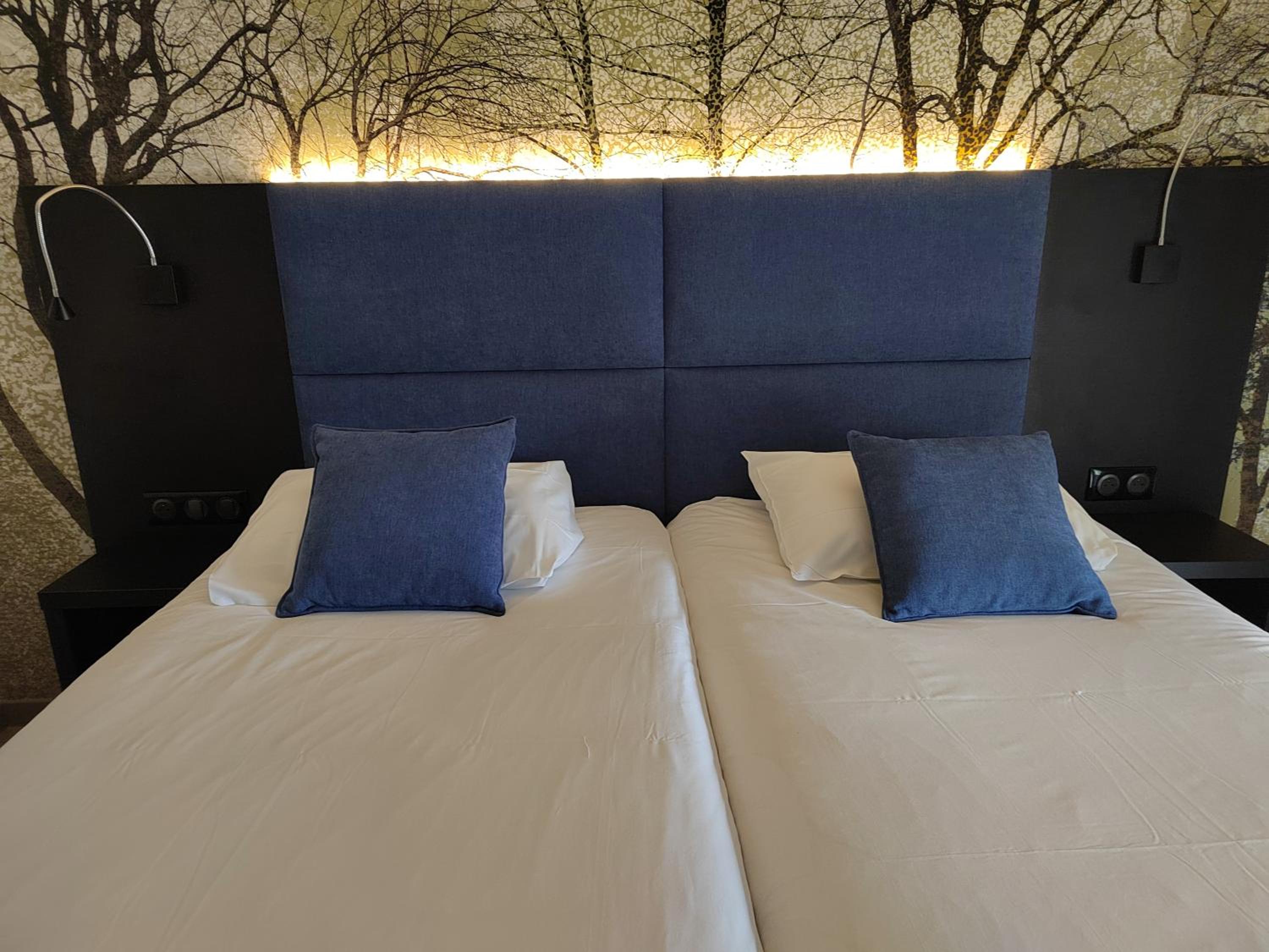 Deluxe Twin Room photo 1