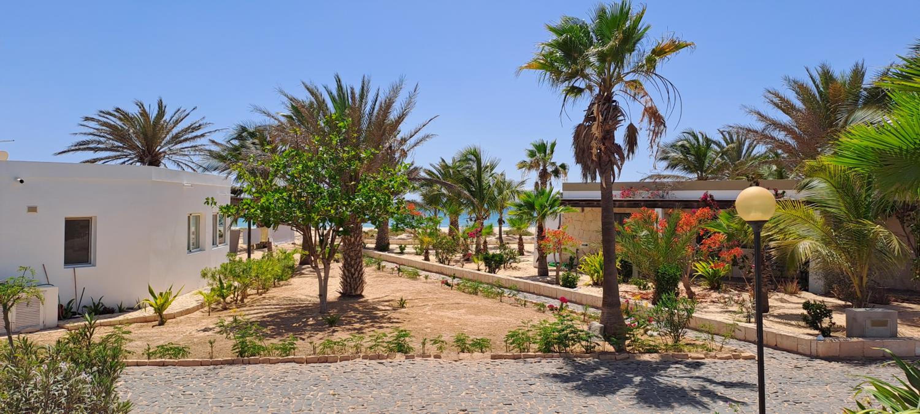 Bungalow - Beach Front photo 2