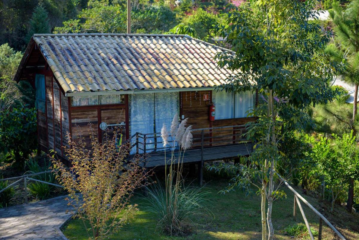 Deluxe Bungalow photo 2