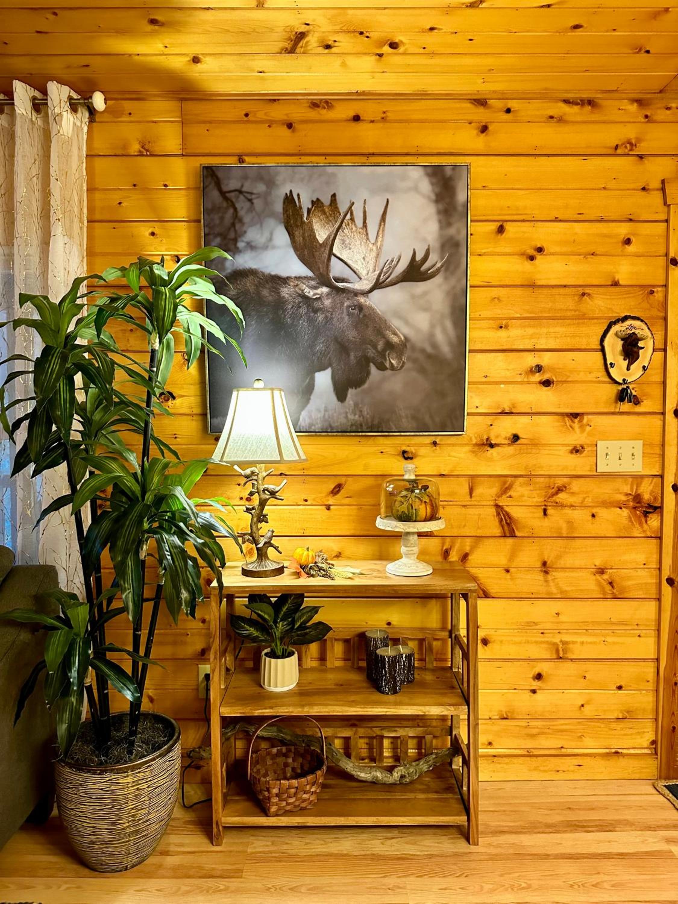 Two-Bedroom House photo 3