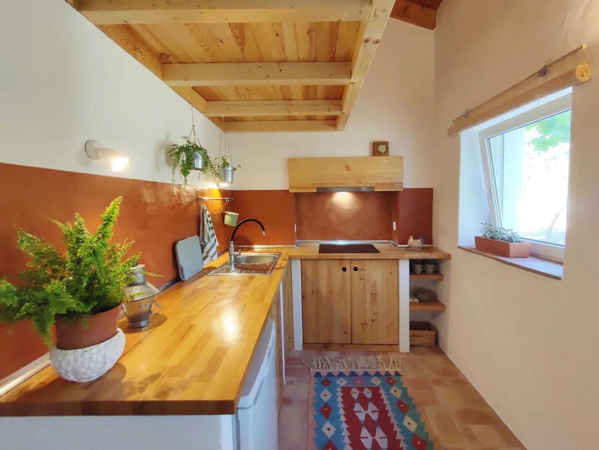 One-Bedroom House photo 3