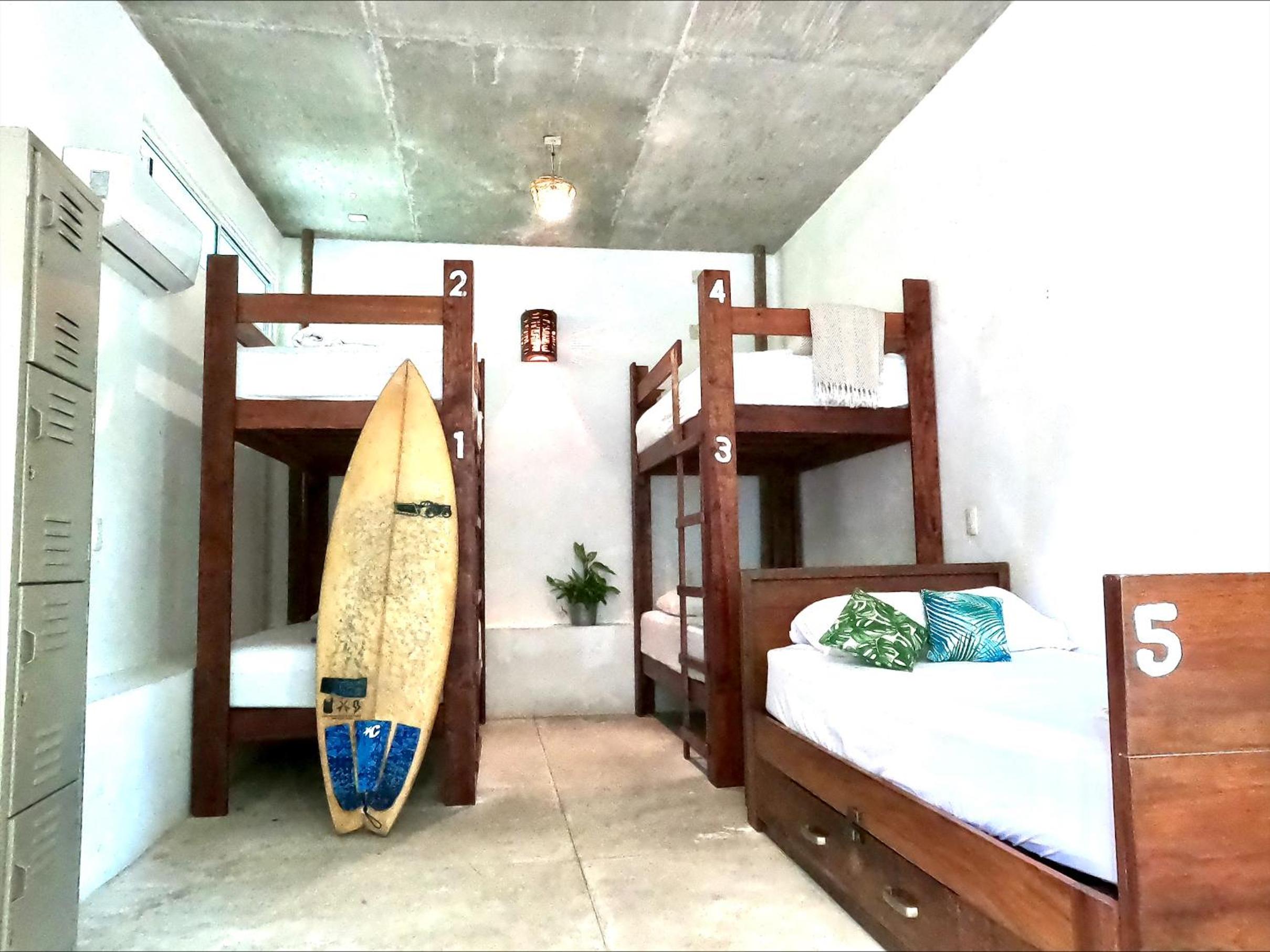 Bed in 4-Bed Dormitory Room