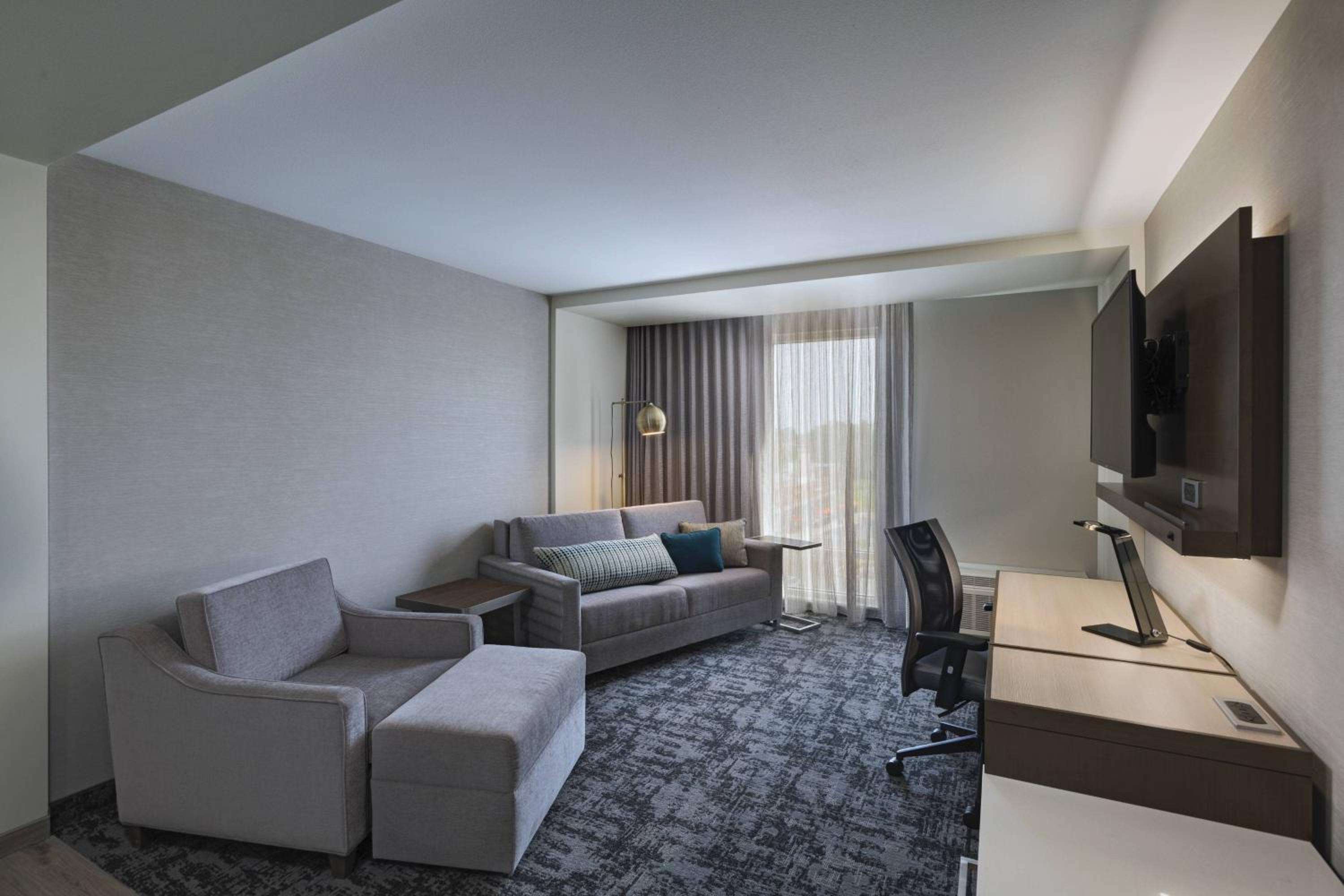 1 Bedroom Suite, 1 King, Sofa bed - Photo 6