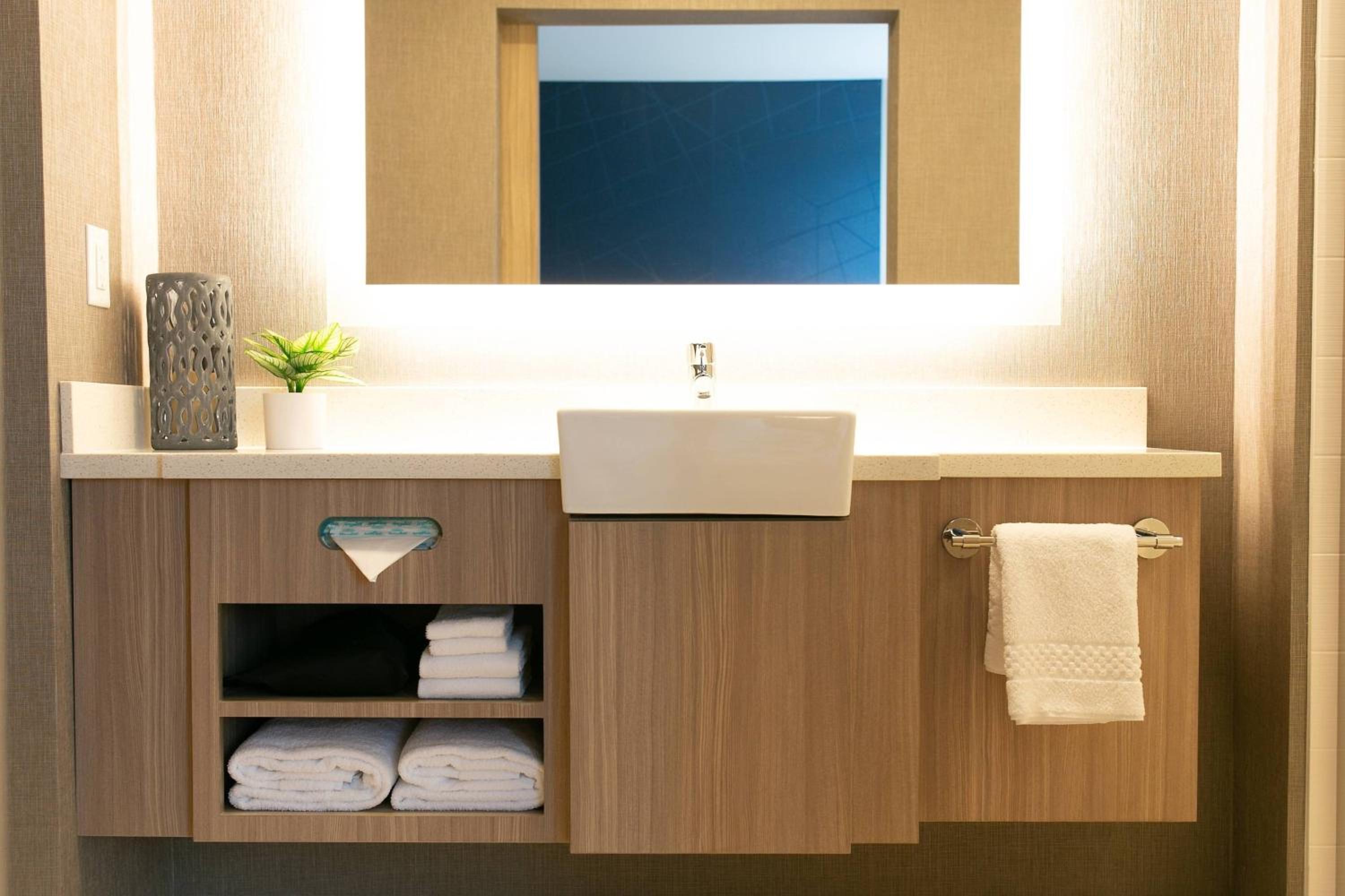 Suite, 1 King, Sofa bed - Photo 3