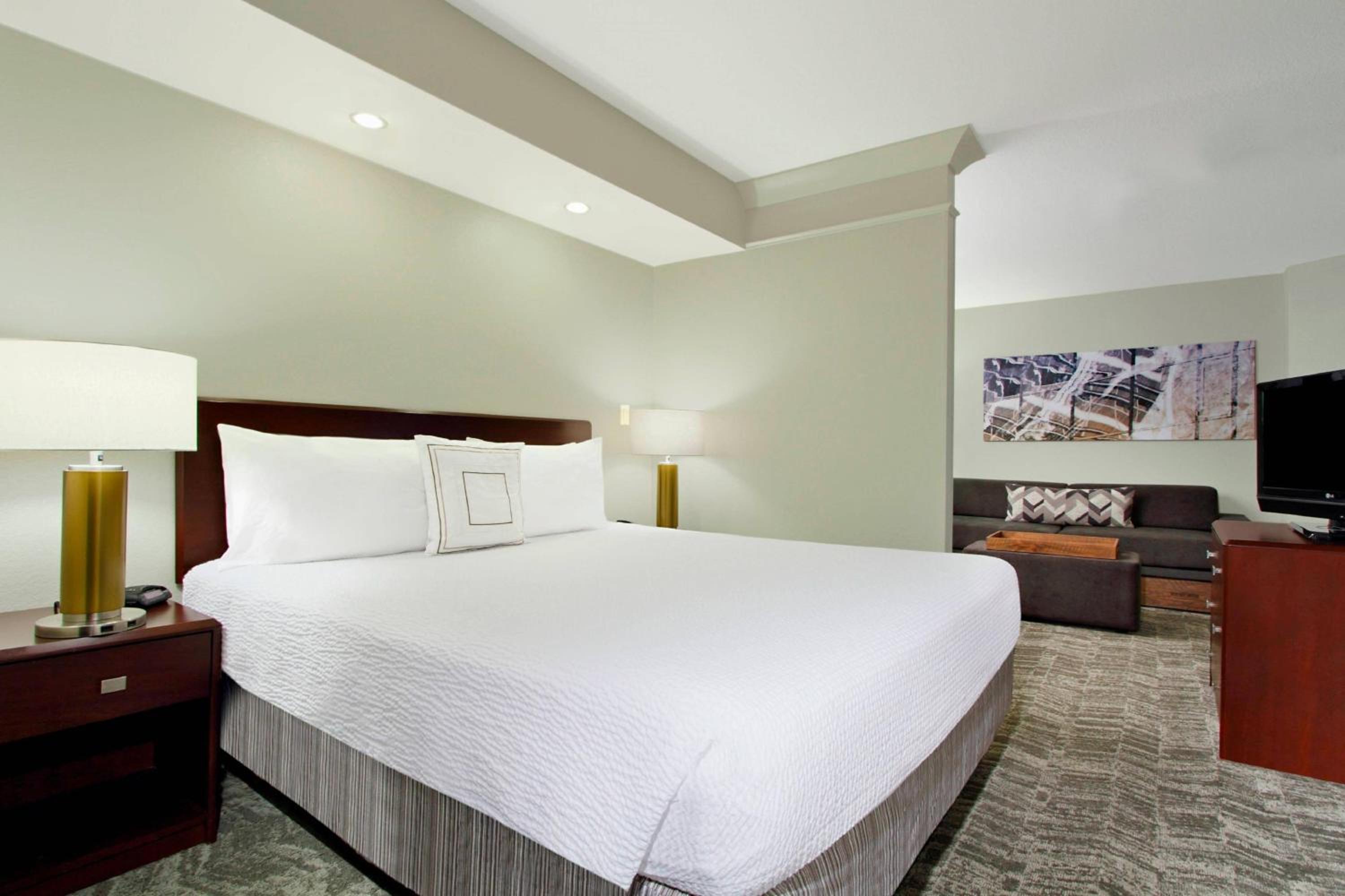 Suite, 1 King Bed, Microwave/Mini Fridge, Sofa Bed, Living Space