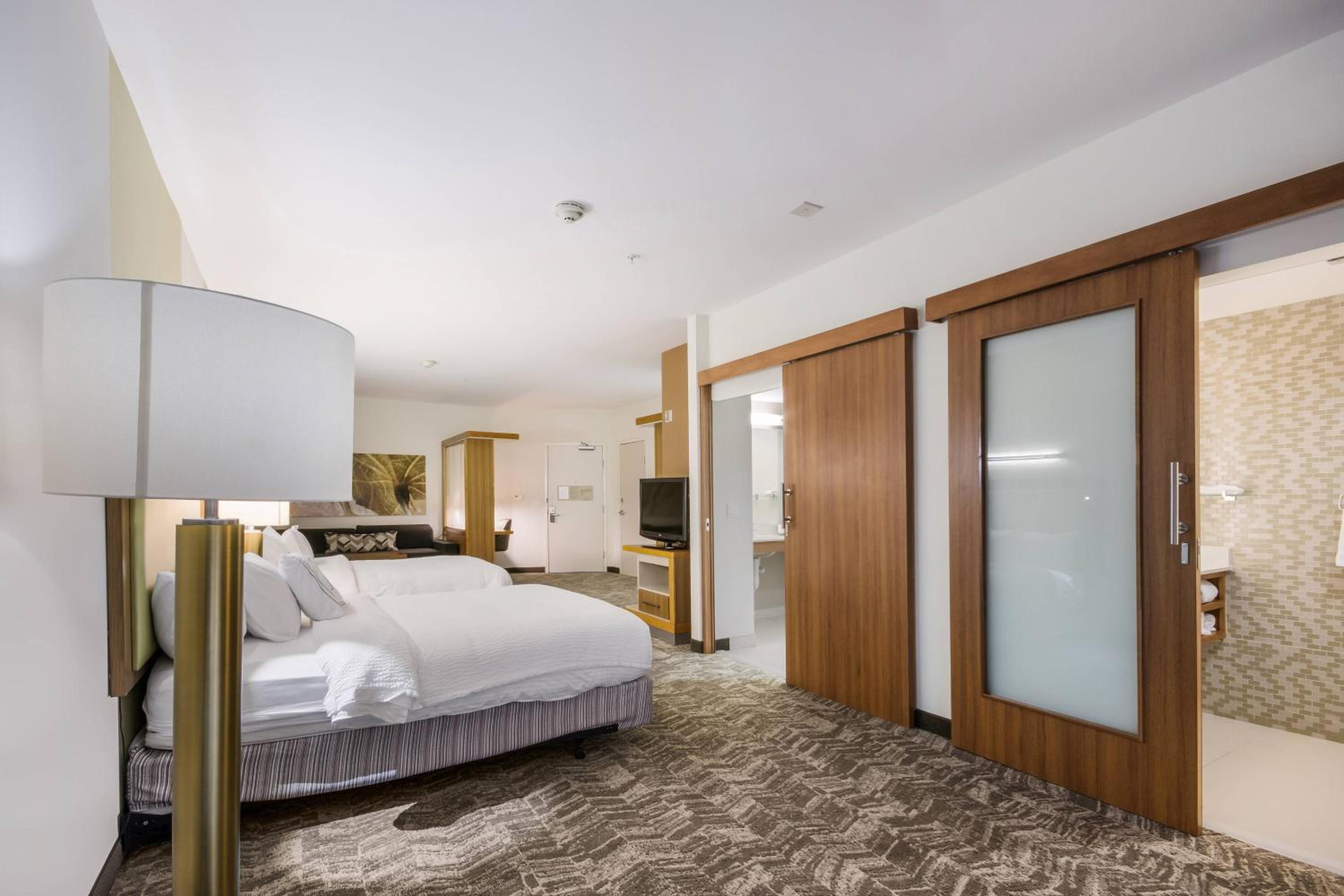 Queen Suite with Sofa Bed - Photo 5