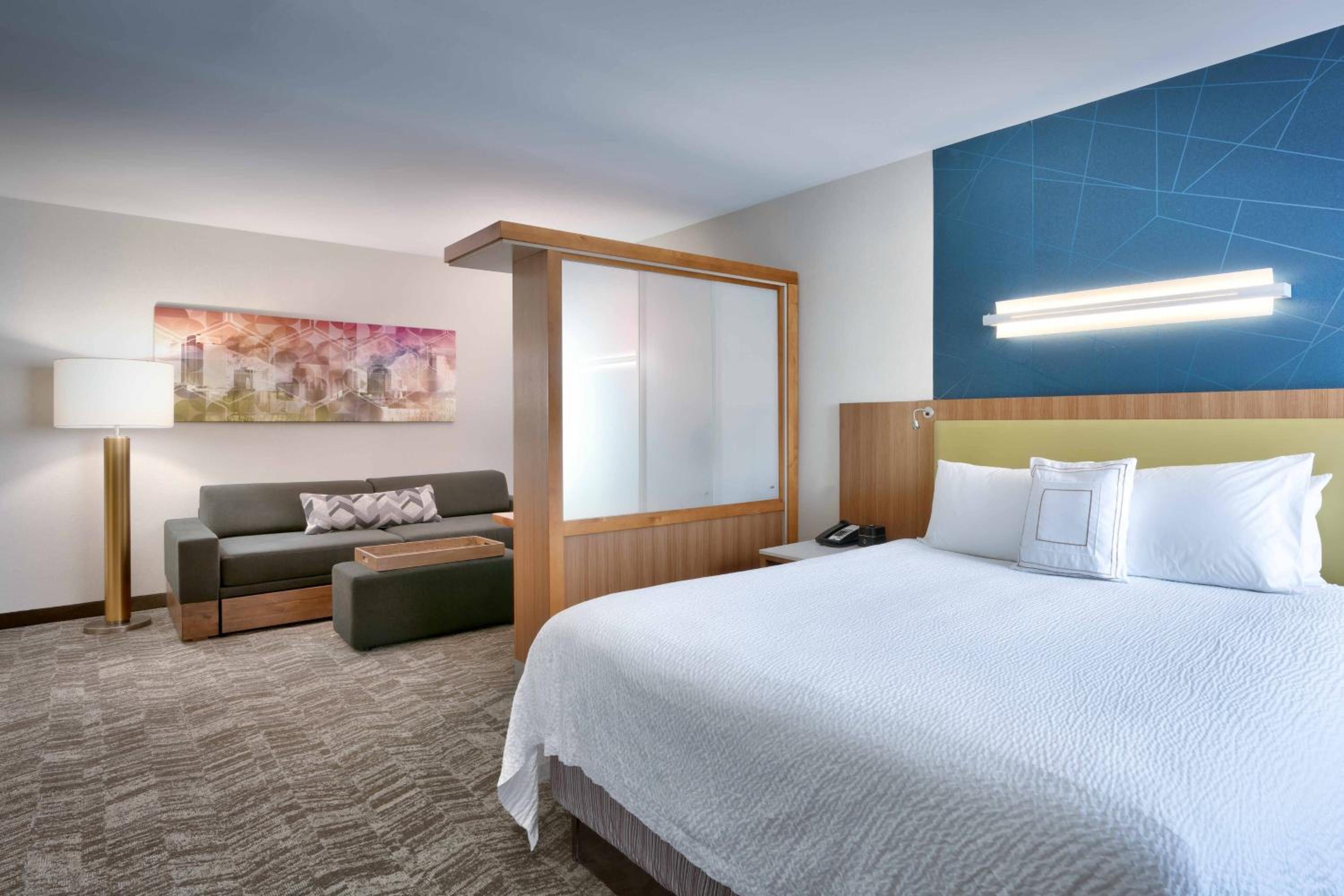 King Suite with Sofa Bed - Photo 6