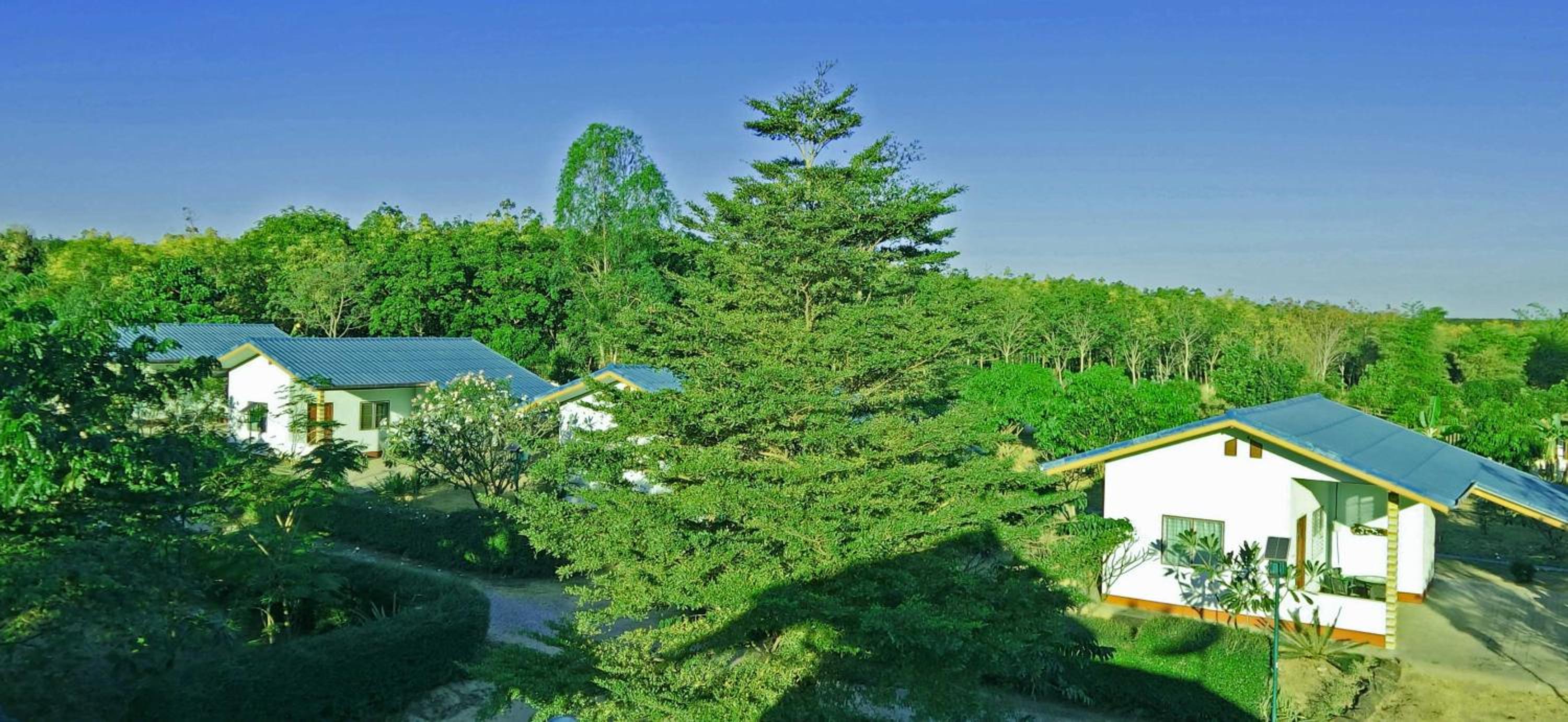 One-Bedroom Bungalow - Photo 2