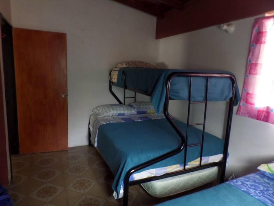 Three-Bedroom House photo 3