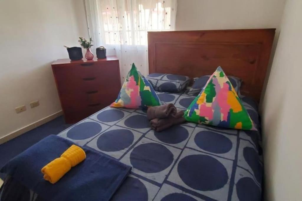 One-Bedroom Apartment photo 2