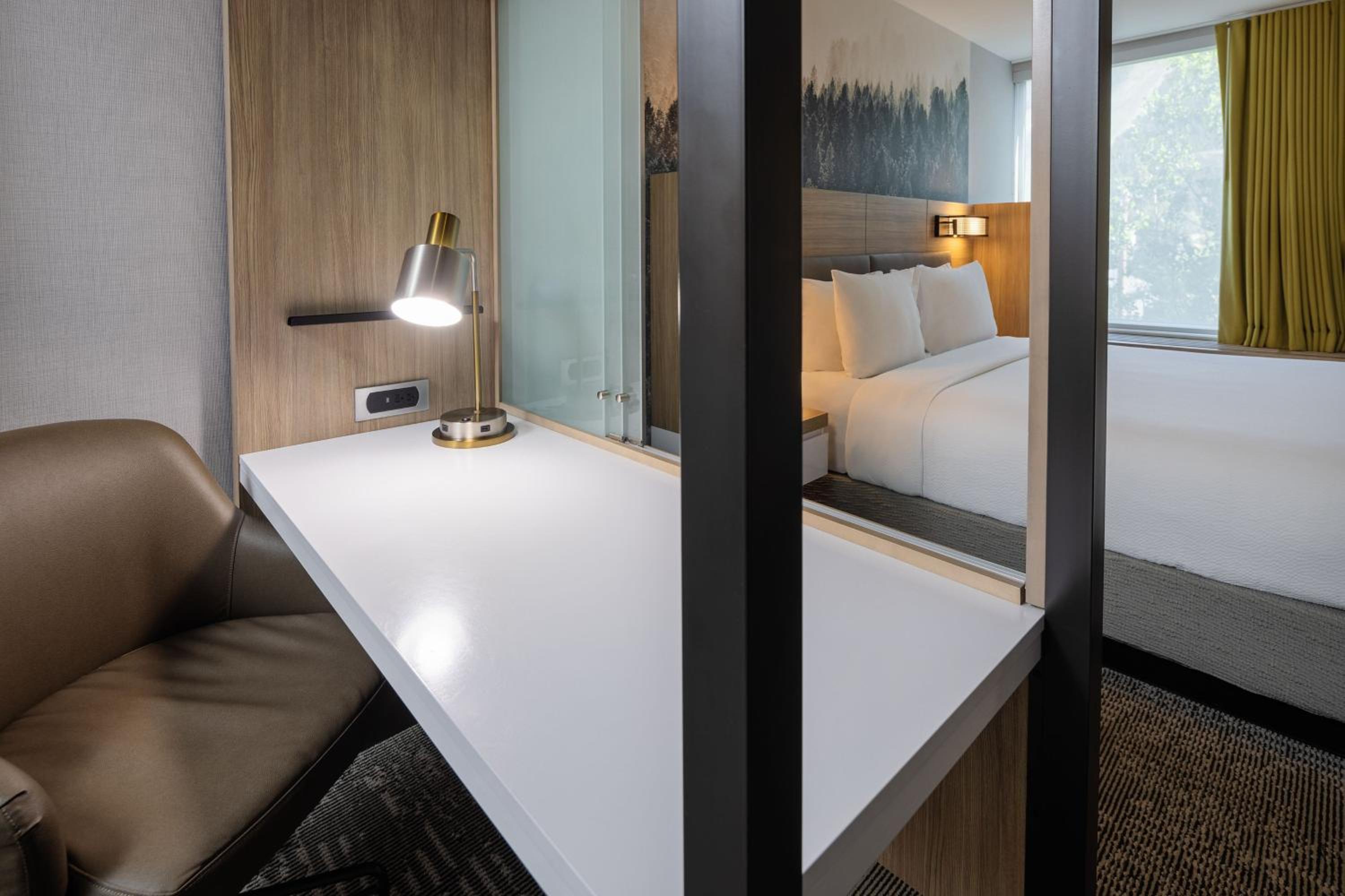 King Suite with Trundle Sofa