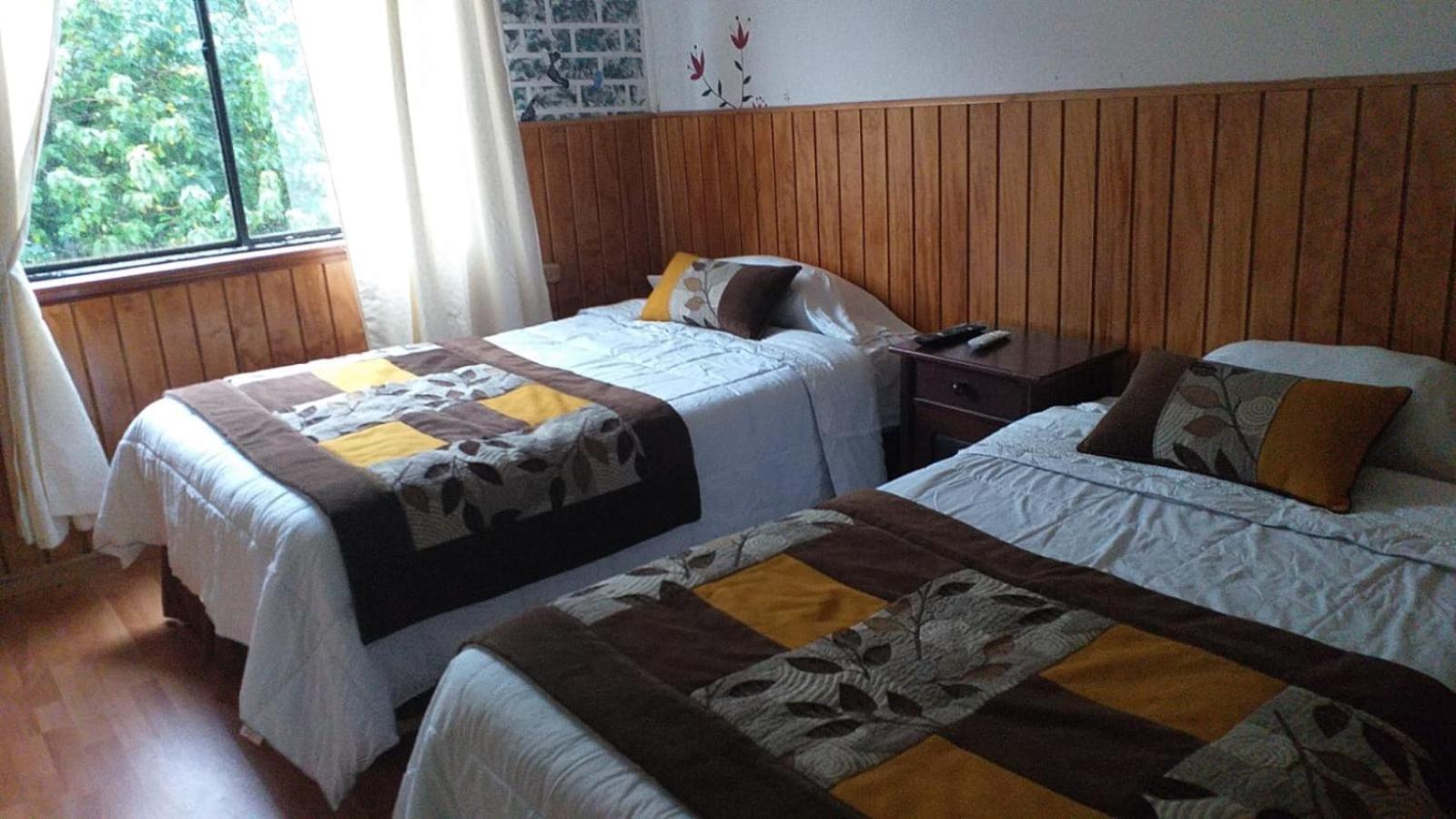 Triple Room photo 3