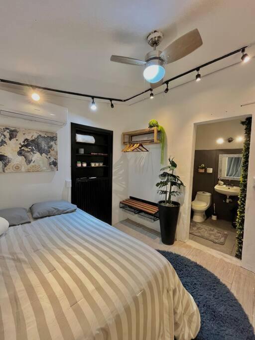 One-Bedroom Apartment photo 3