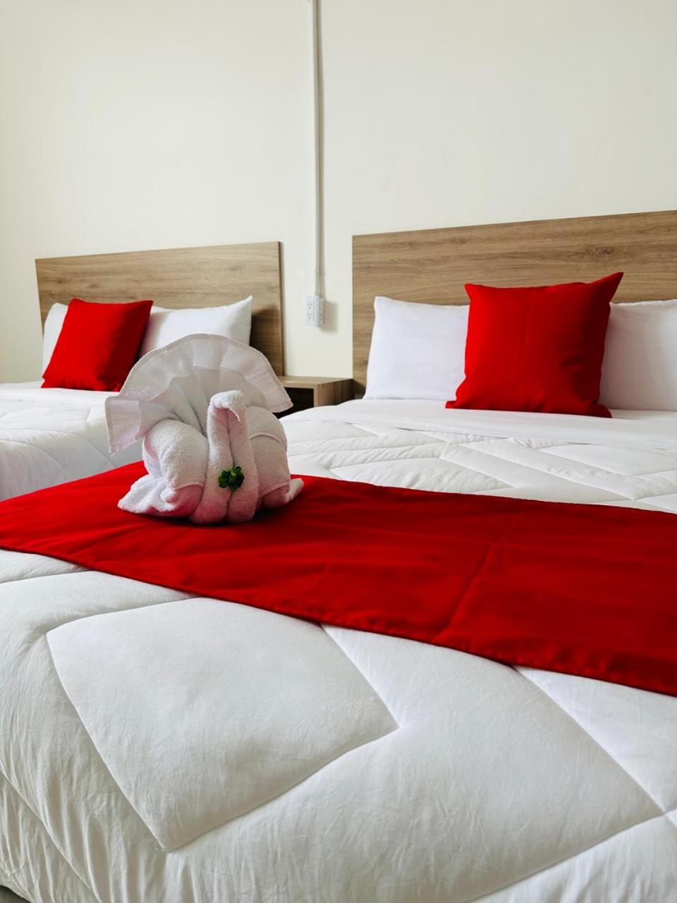 Superior Double Room with Two Double Beds