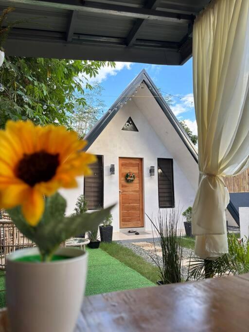 One-Bedroom House photo 2