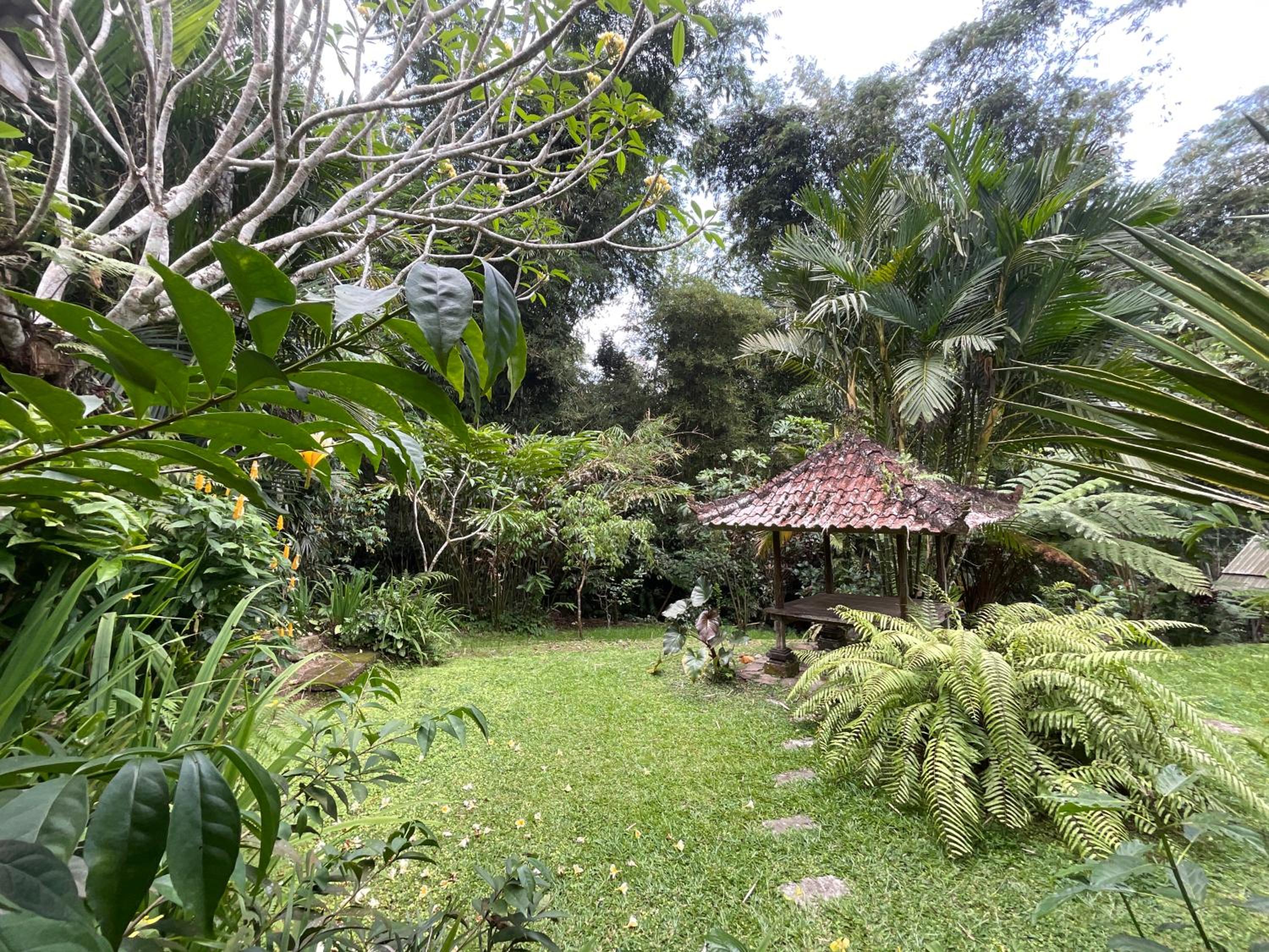 Deluxe Double or Twin Room with Garden View photo 3
