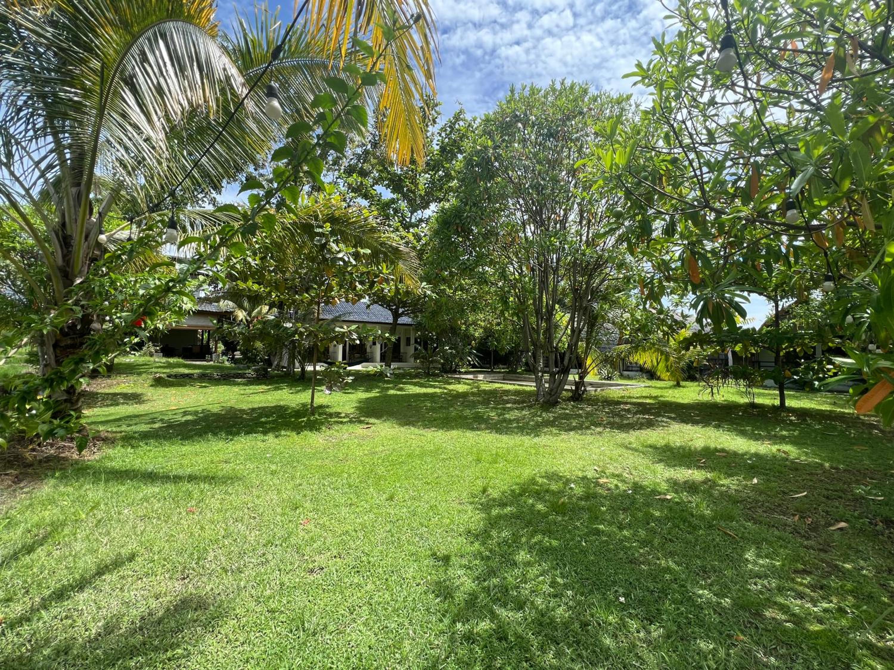 Deluxe Bungalow with Garden View - Photo 5