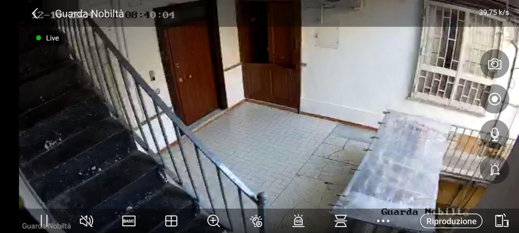 Two-Bedroom Family Apartment