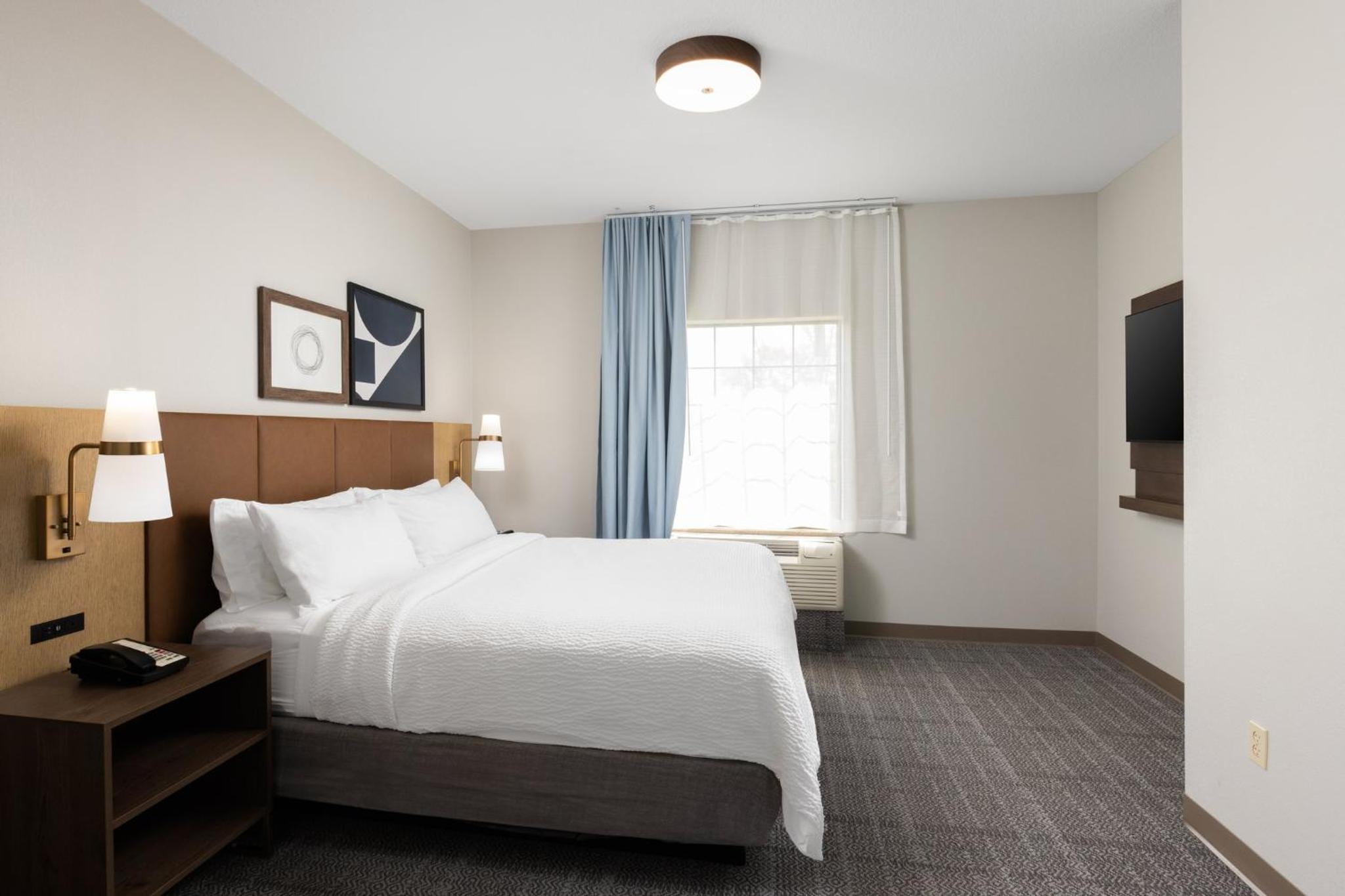 One-Bedroom King Suite with Sofa Bed - Photo 2