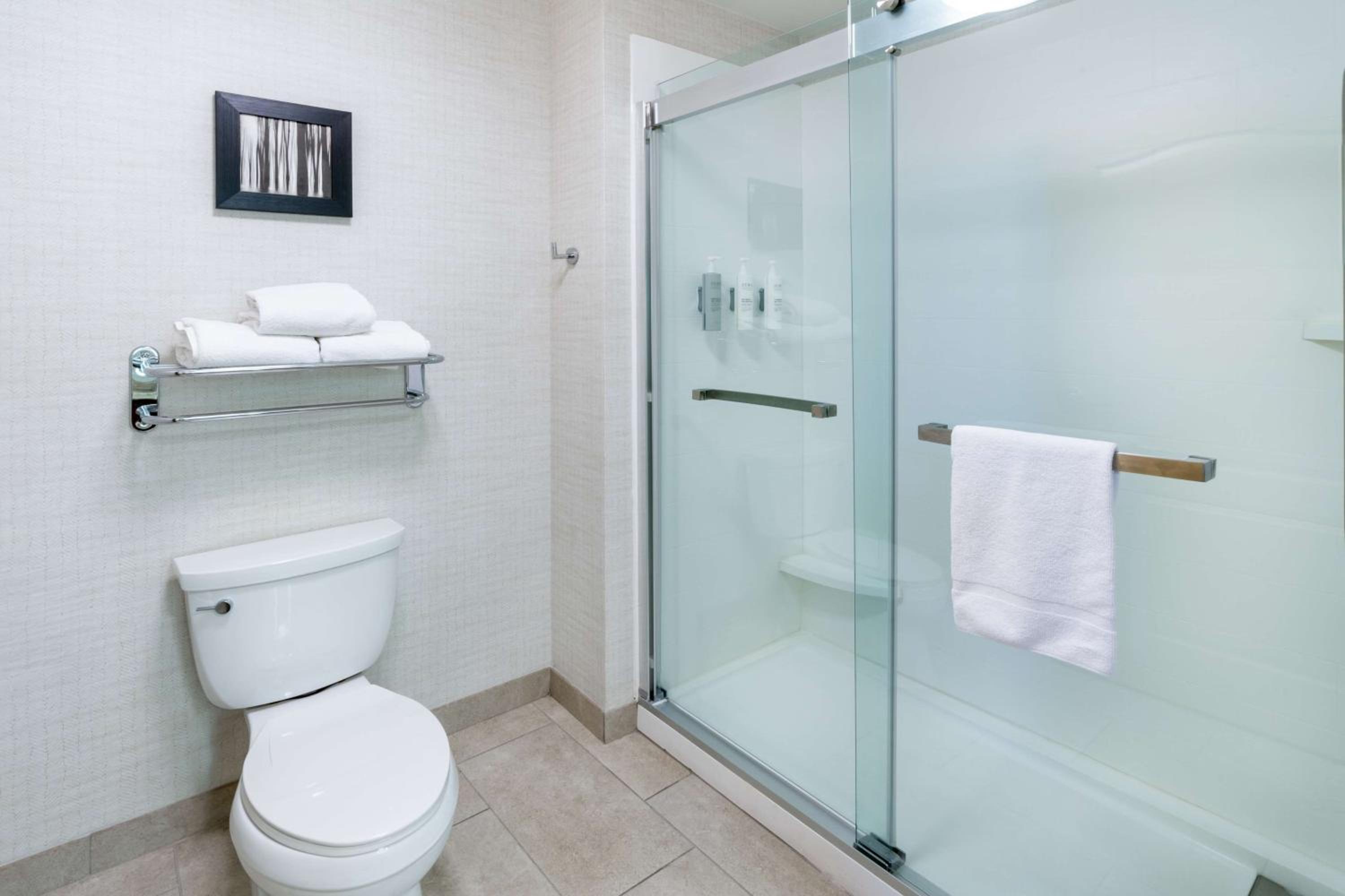 King Studio Suite - Non-Smoking - Photo 4