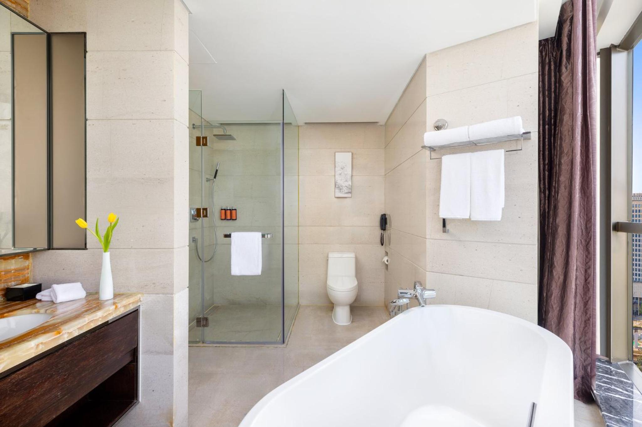 One-Bedroom Suite with Bath View