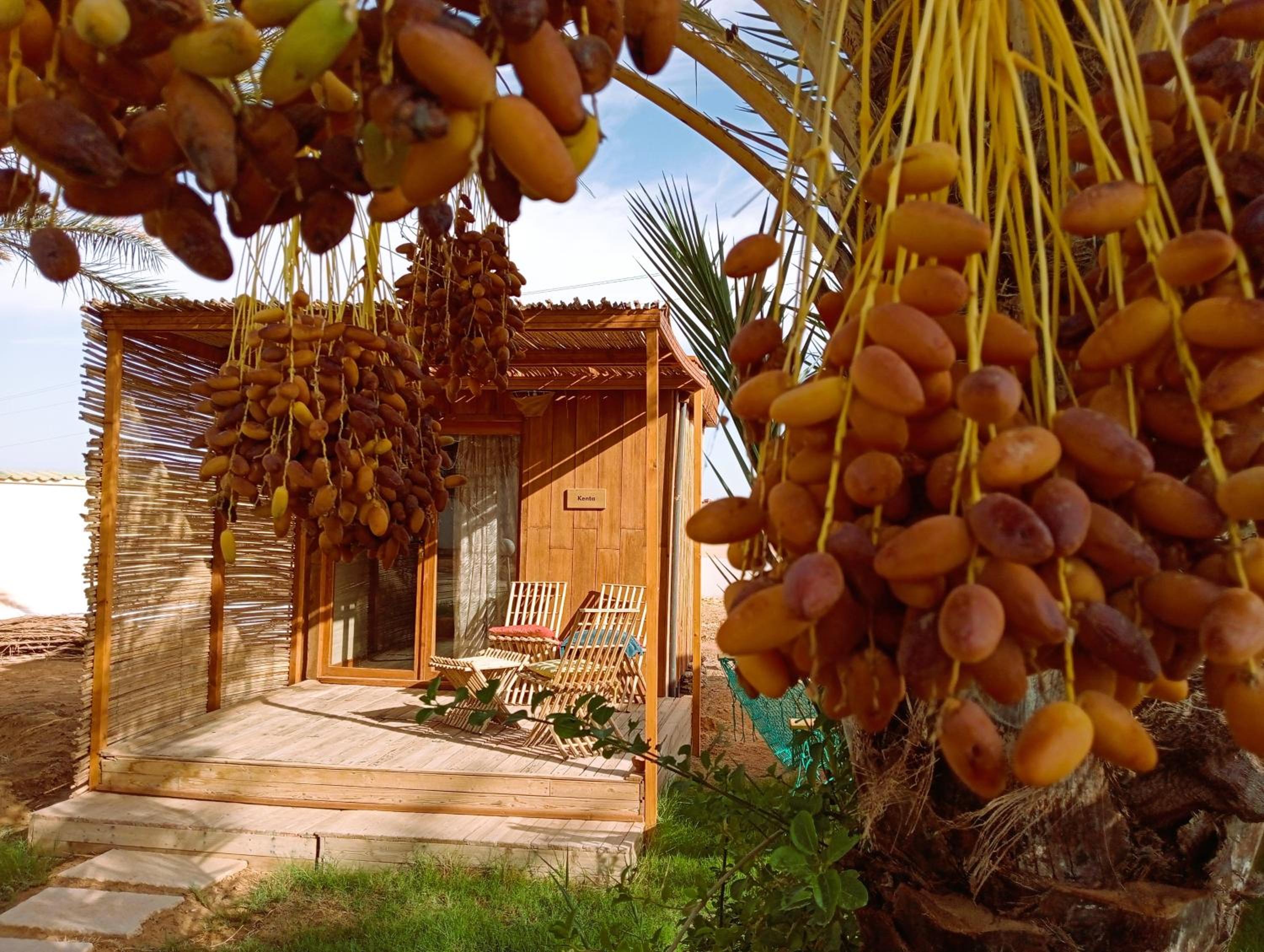 Bungalow with Patio photo 1