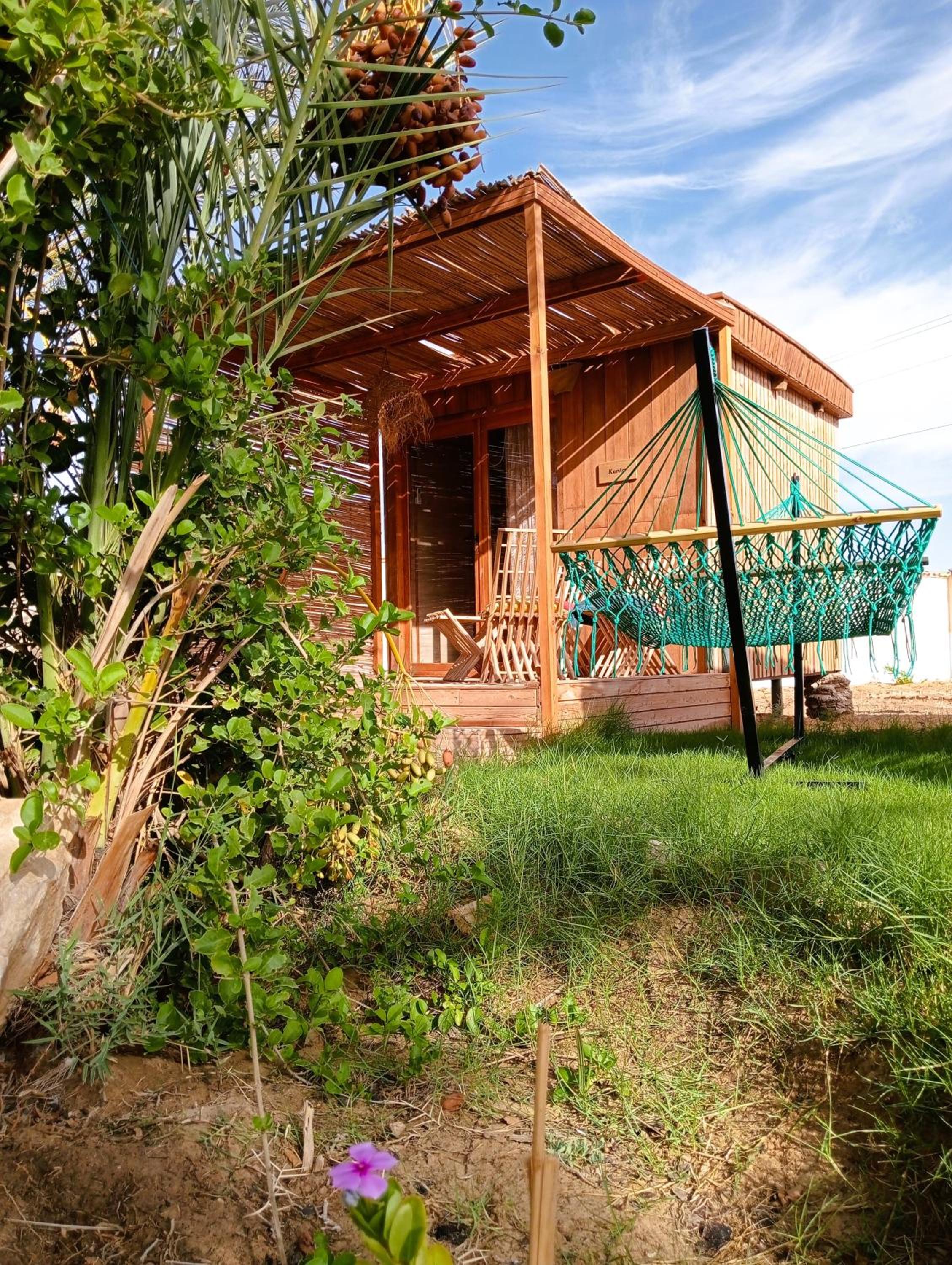 Bungalow with Patio photo 3