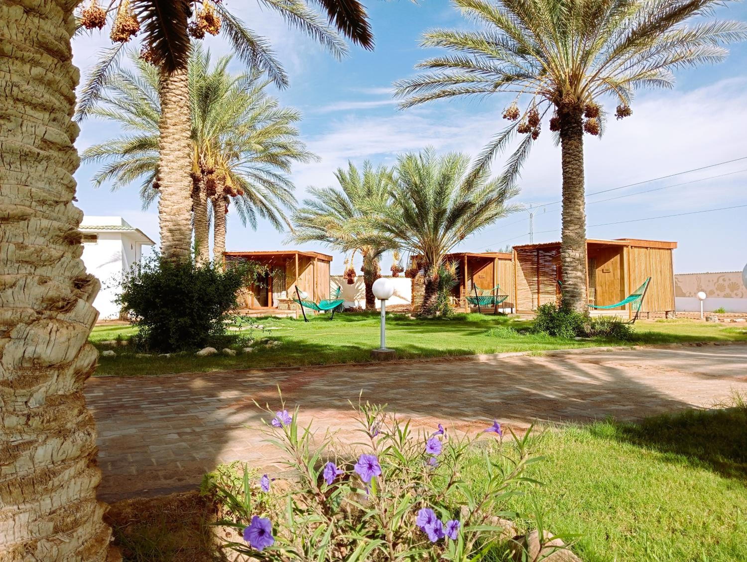 Double or Twin Room with Terrace photo 3
