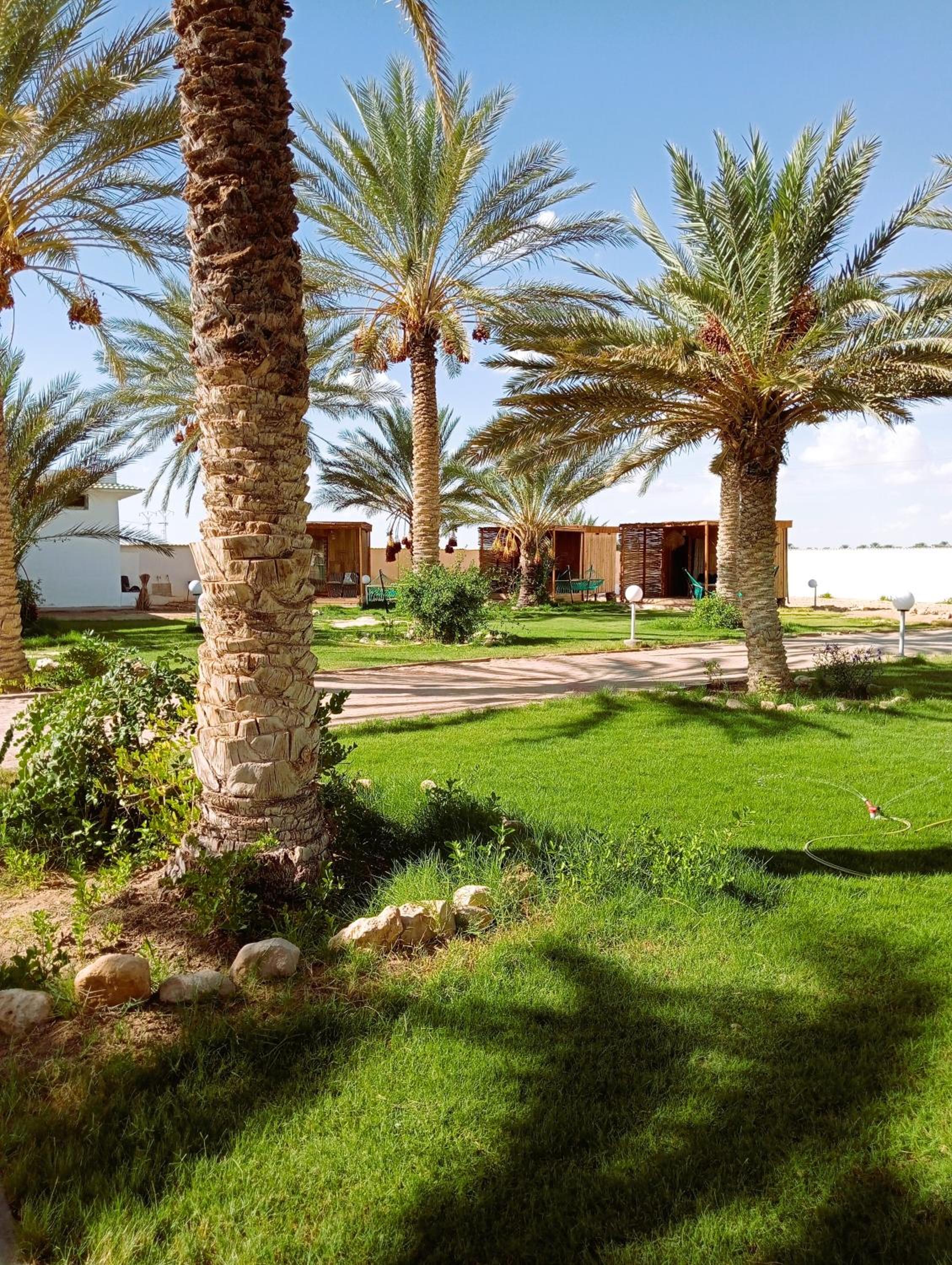 Double or Twin Room with Terrace photo 2