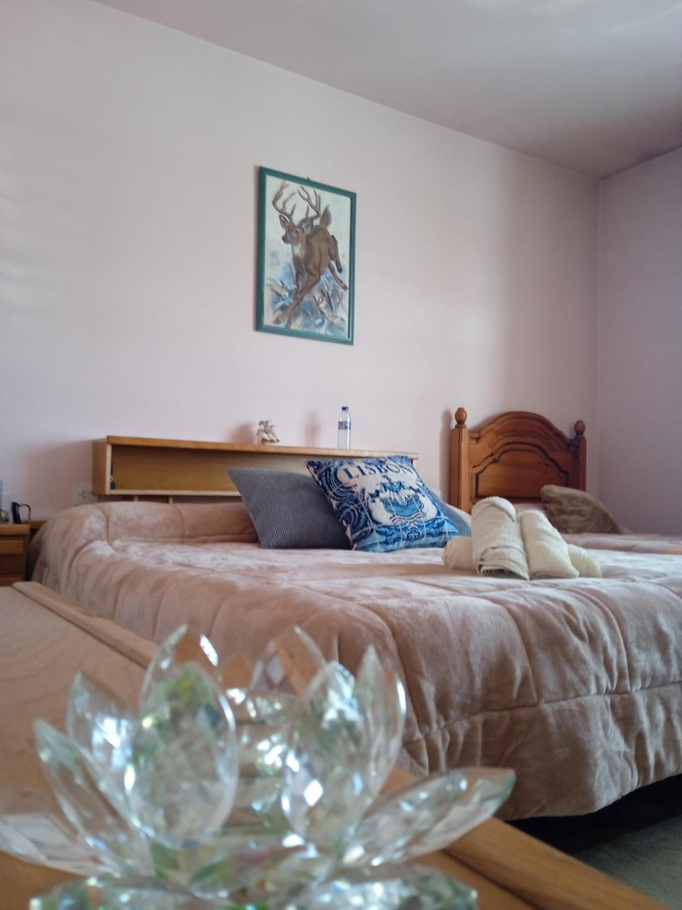 Habitación Triple Confort