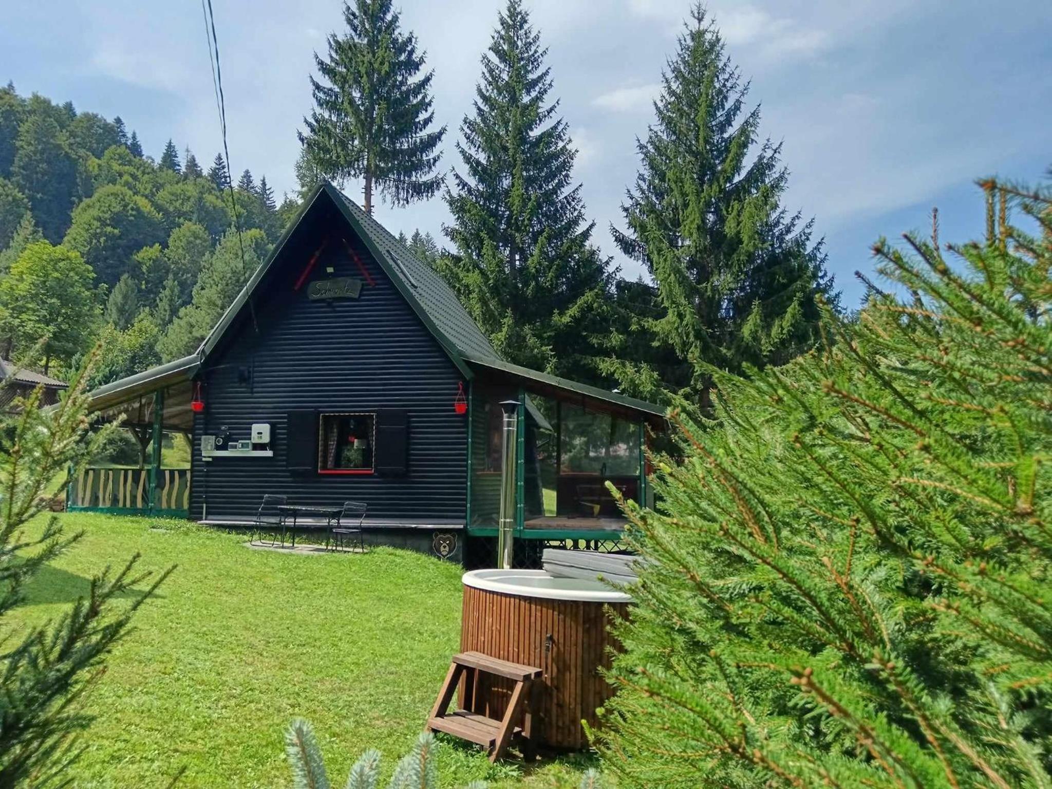 Superior Chalet photo 2