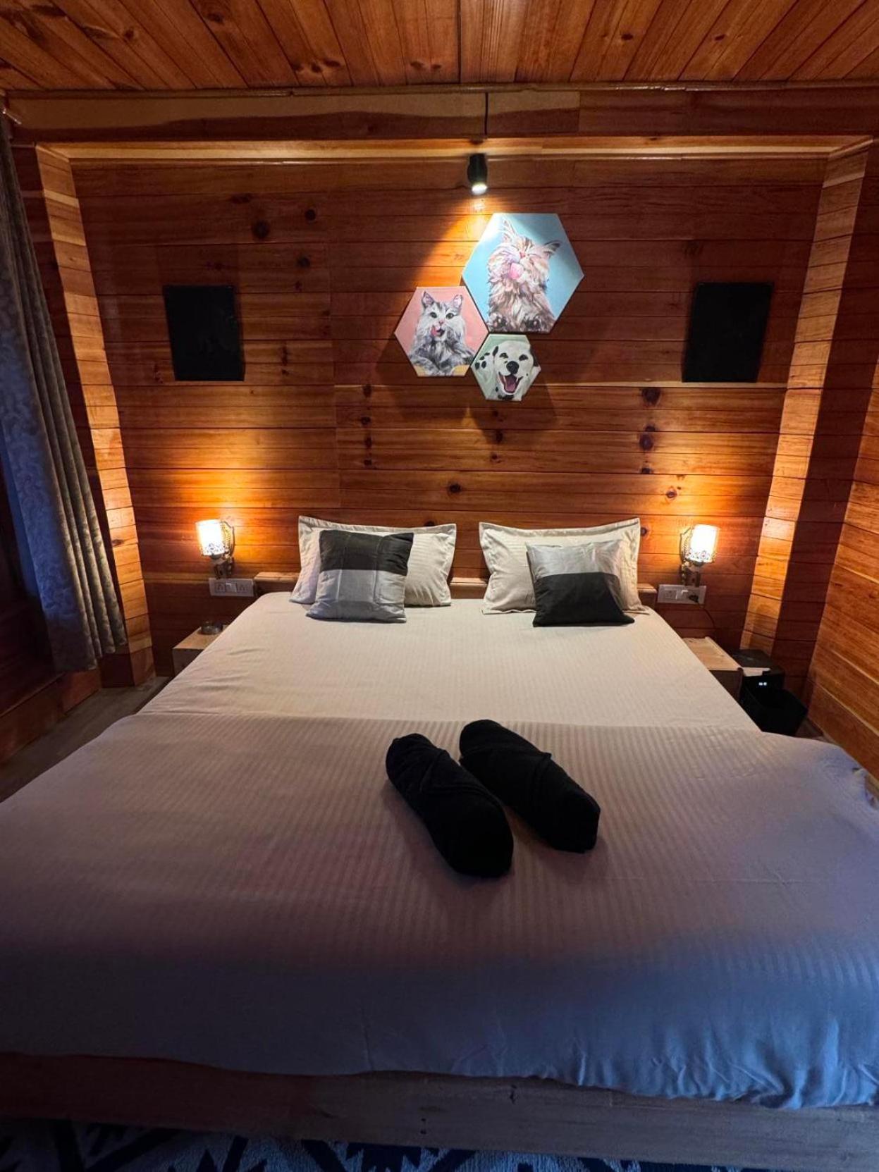 Double Room with Mountain View photo 2