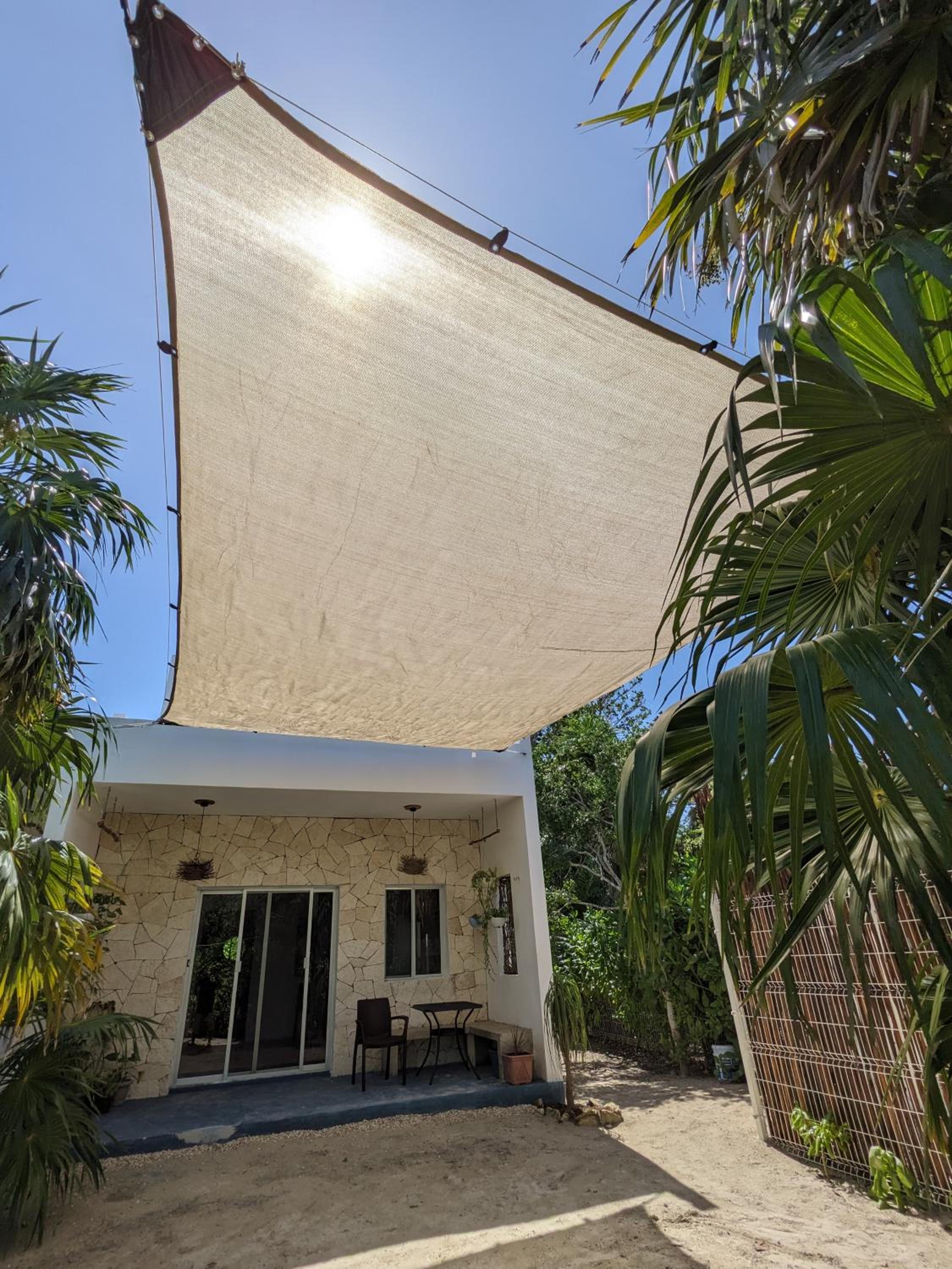 Studio with Terrace photo 3