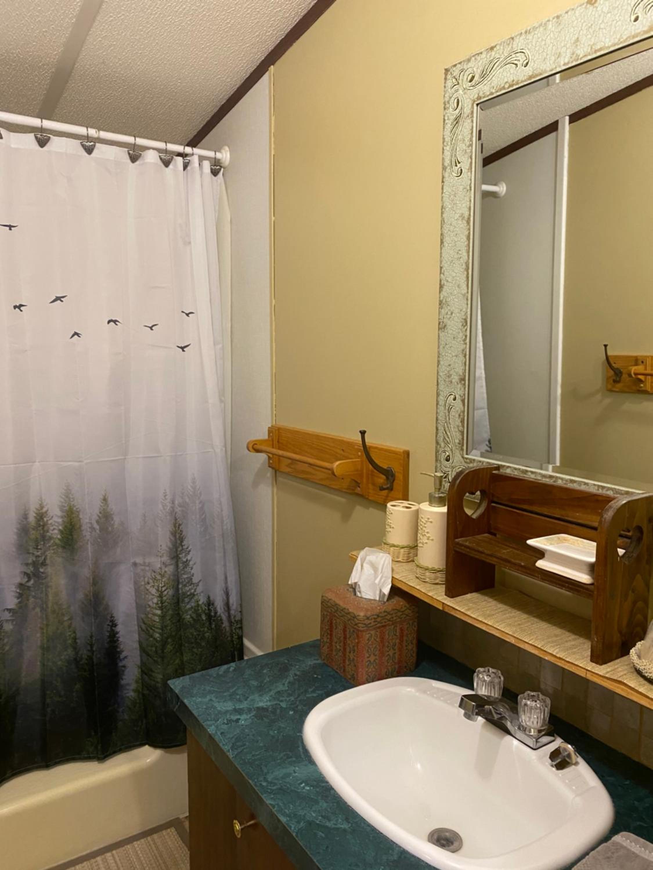 Mobile Home photo 2