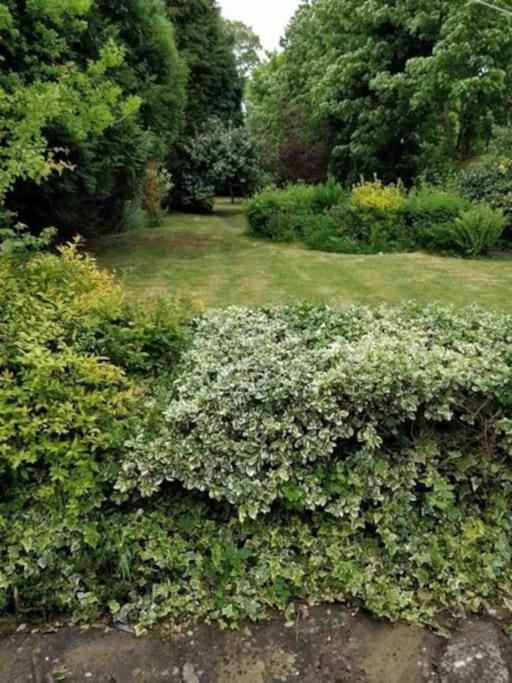 Bungalow with Garden View photo 3