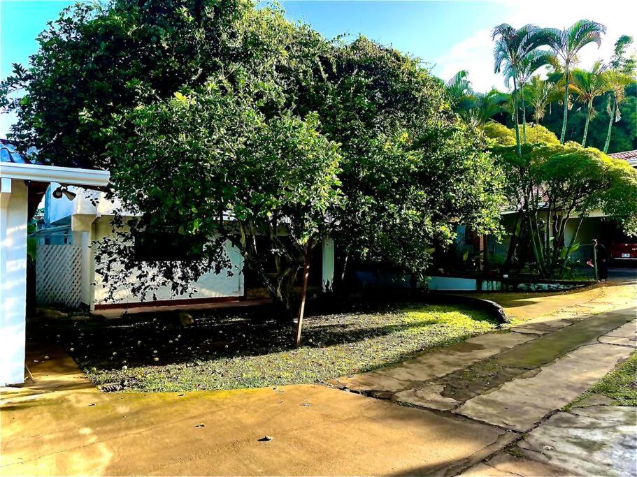 Two-Bedroom Apartment with Balcony photo 3