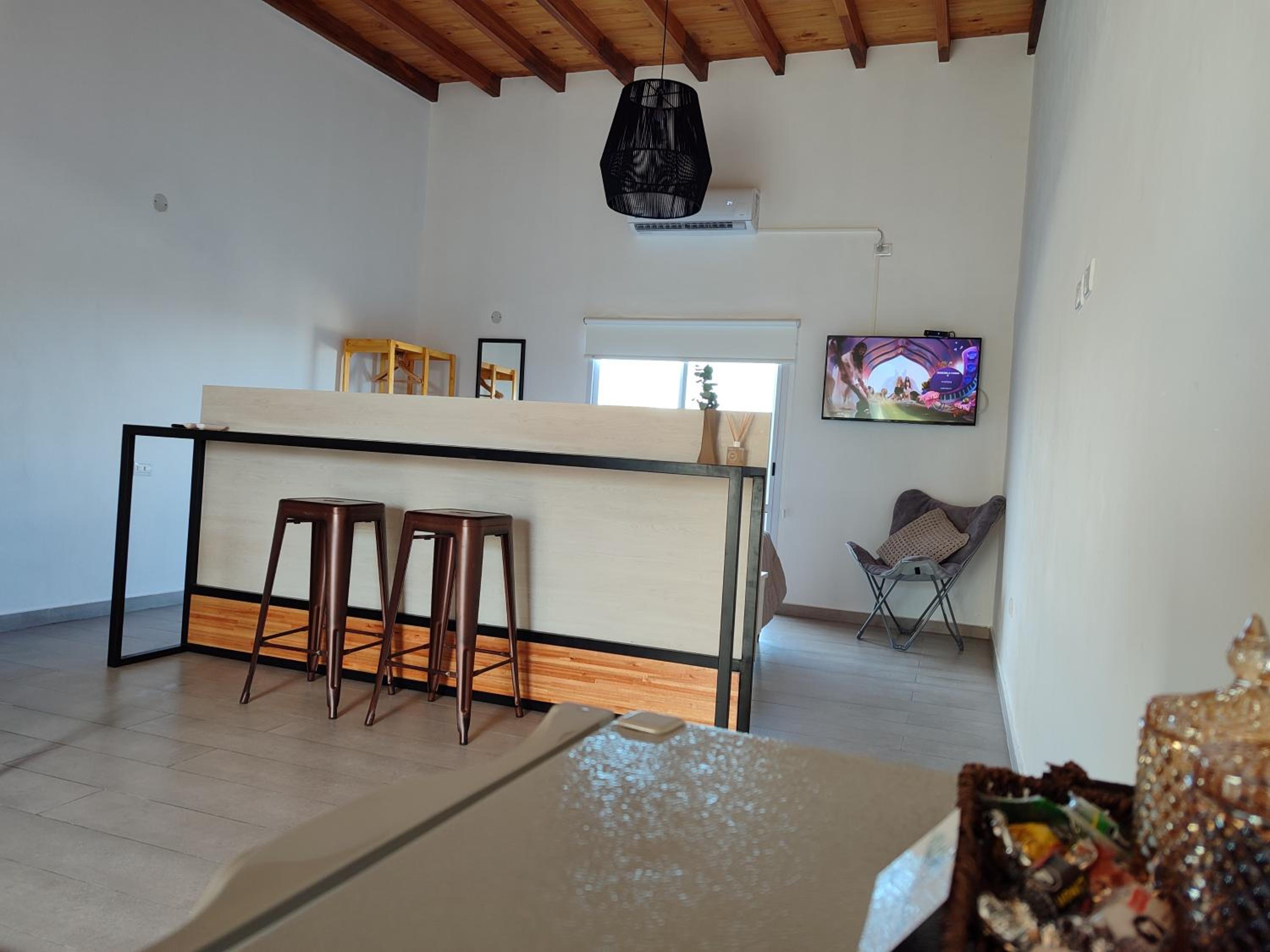 Studio with Terrace photo 1