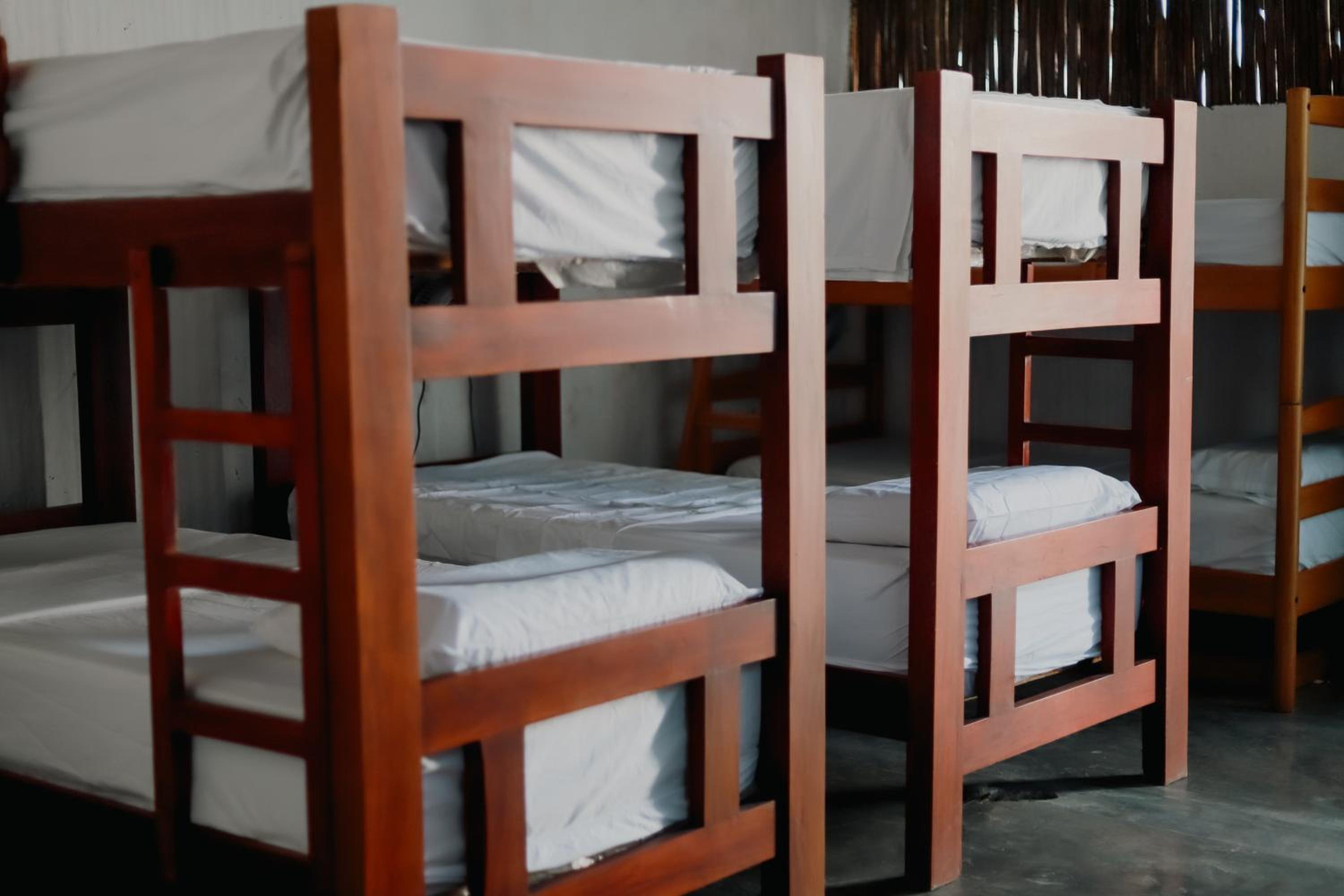 Single Bed in Mixed Dormitory Room photo 1
