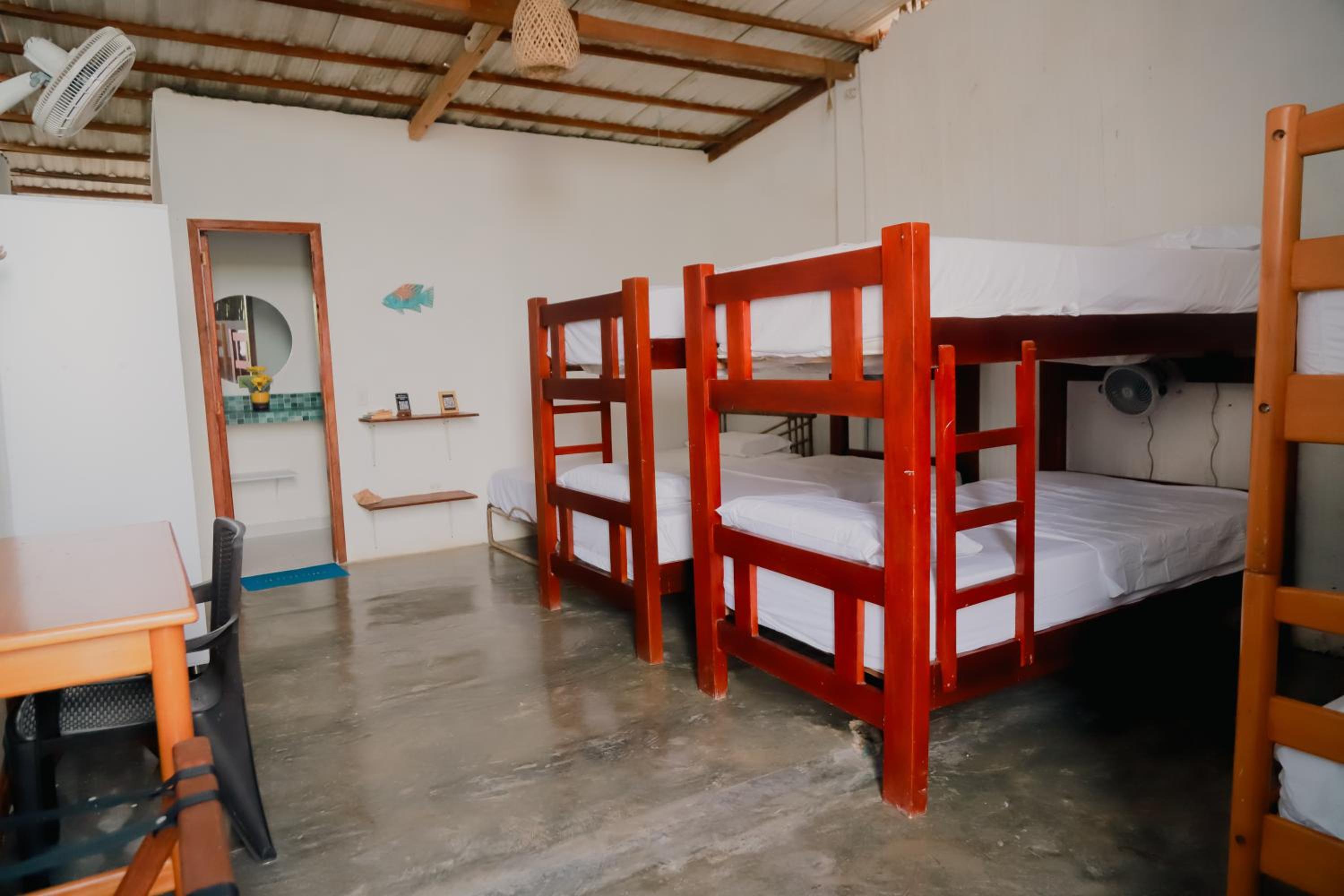 Single Bed in Mixed Dormitory Room photo 2