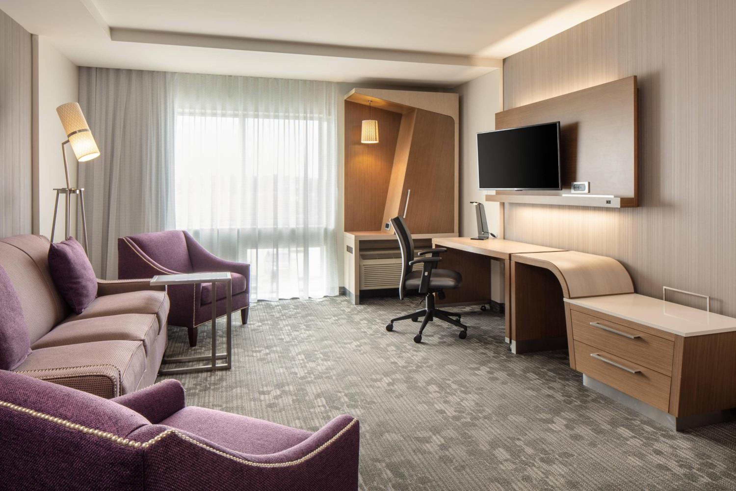 King Suite with Bathtub and Sofa Bed - Mobility Access photo 1